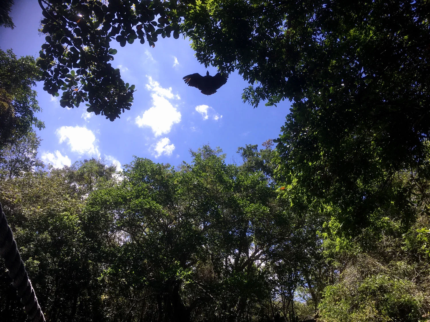 Hammocks_and_Ruins_Riviera_Maya_What_to_Do_Puerto_Morelos_Cenotes_Verdo_Lucero_48.jpg