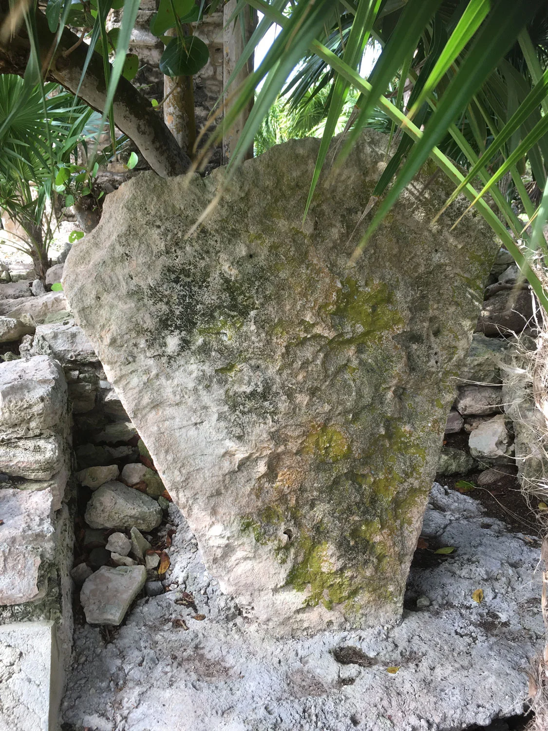 Hammocks_and_Ruins_Riviera_Maya_What_to_Do_Playa_Del_Carmen_Ruins_Xaman_Ha_Playacar_27.jpg