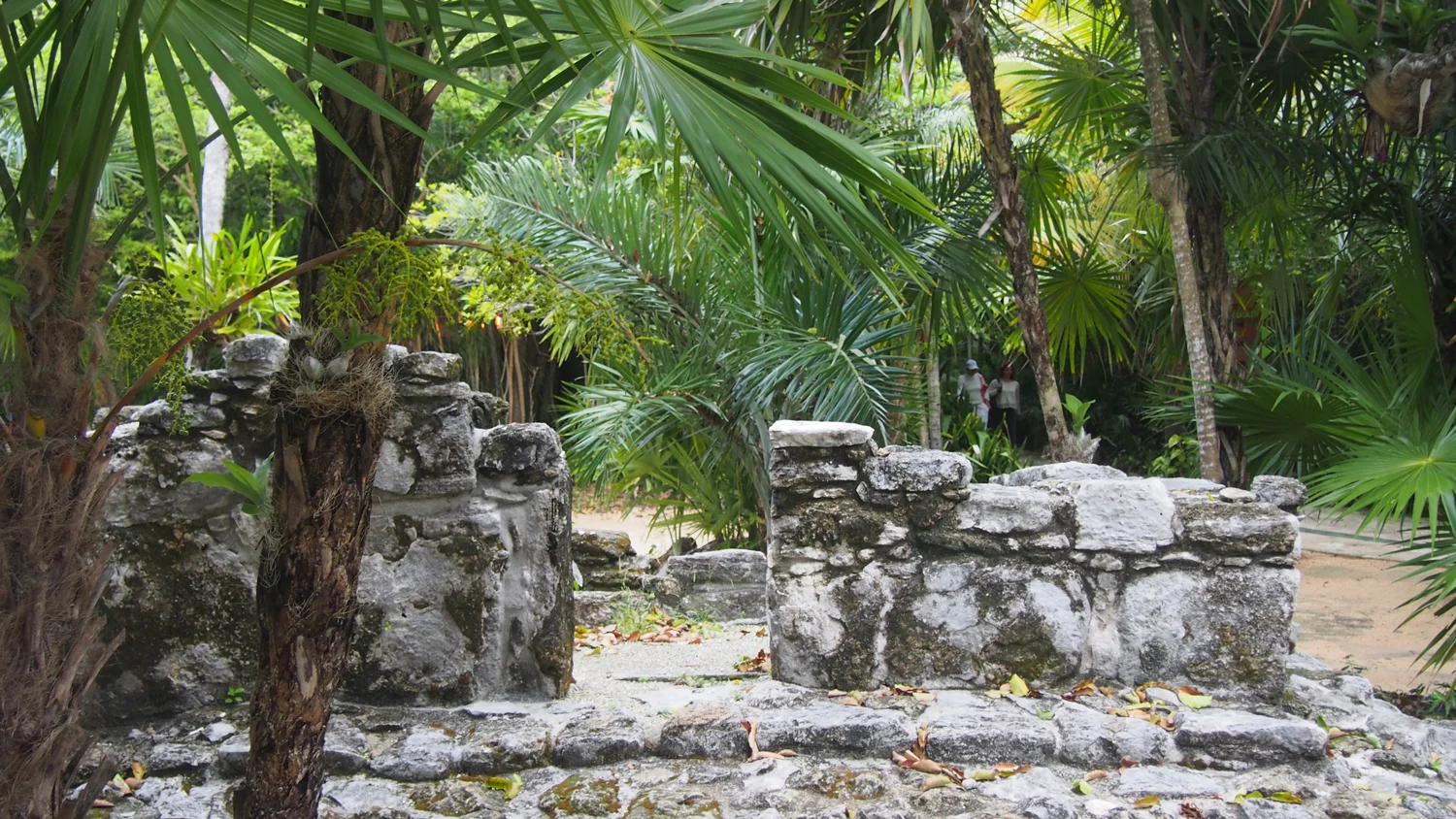 Hammocks_and_Ruins_Riviera_Maya_What_to_Do_Playa_Del_Carmen_Tulum_Ruins_Xcaret_101.jpg