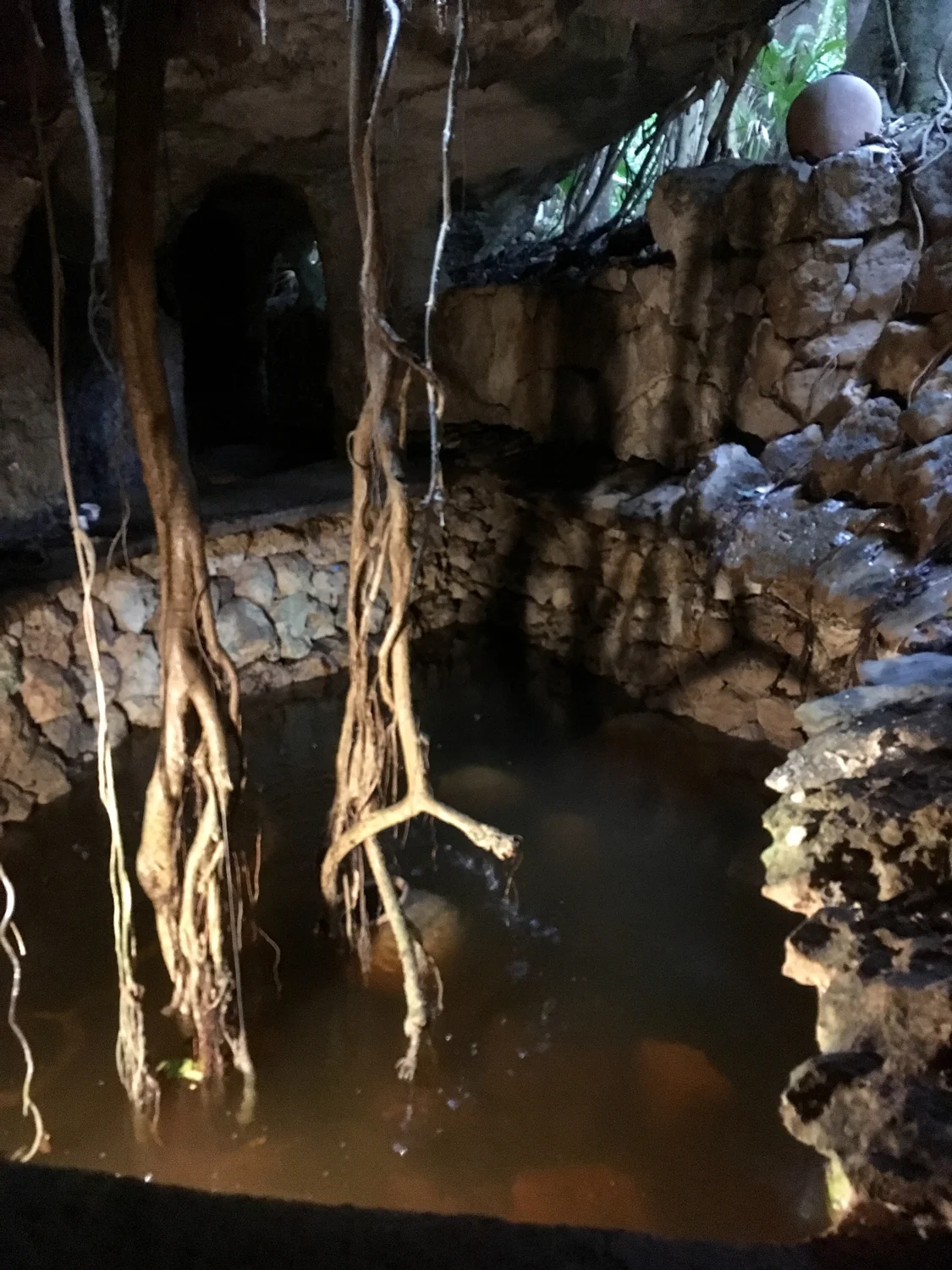 Hammocks_and_Ruins_Riviera_Maya_What_to_Do_Playa_Del_Carmen_Tulum_Ruins_Xcaret_71.jpg