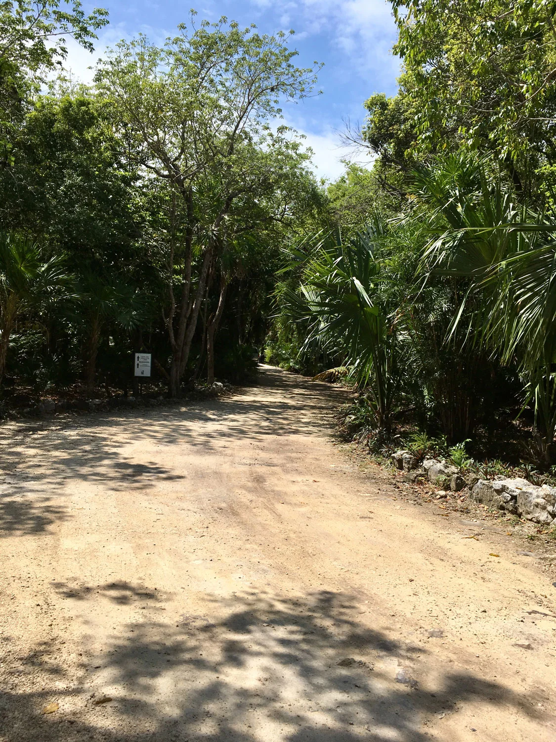 Hammocks_and_Ruins_Riviera_Maya_What_to_Do_Tulum_Beaches_Caleta_Tankah_10.jpg