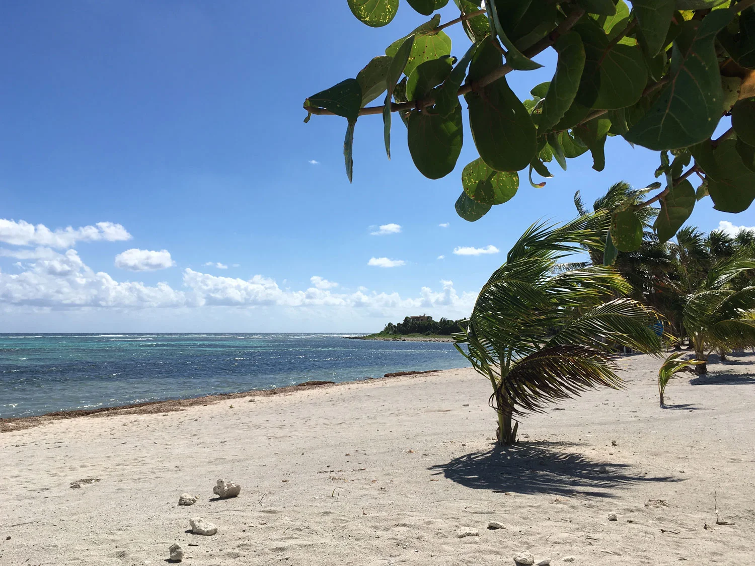 Hammocks_and_Ruins_Riviera_Maya_What_to_Do_Tulum_Beaches_Soliman_Bay_25.jpg
