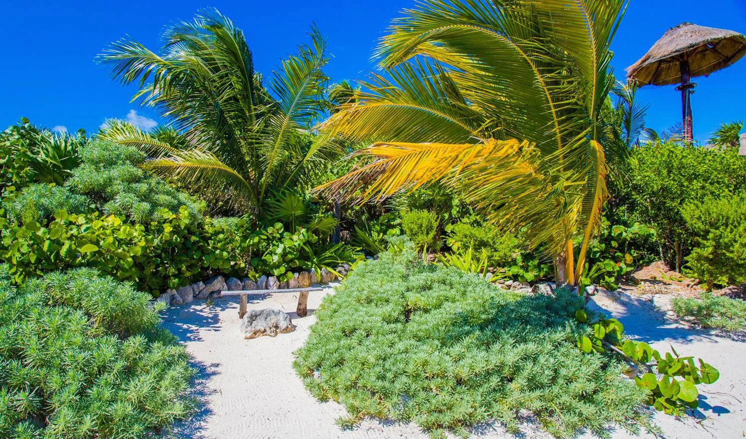 Hammocks_and_Ruins_Riviera_Maya_What_to_Do_Tulum_Beaches_Soliman_Bay_5.jpg