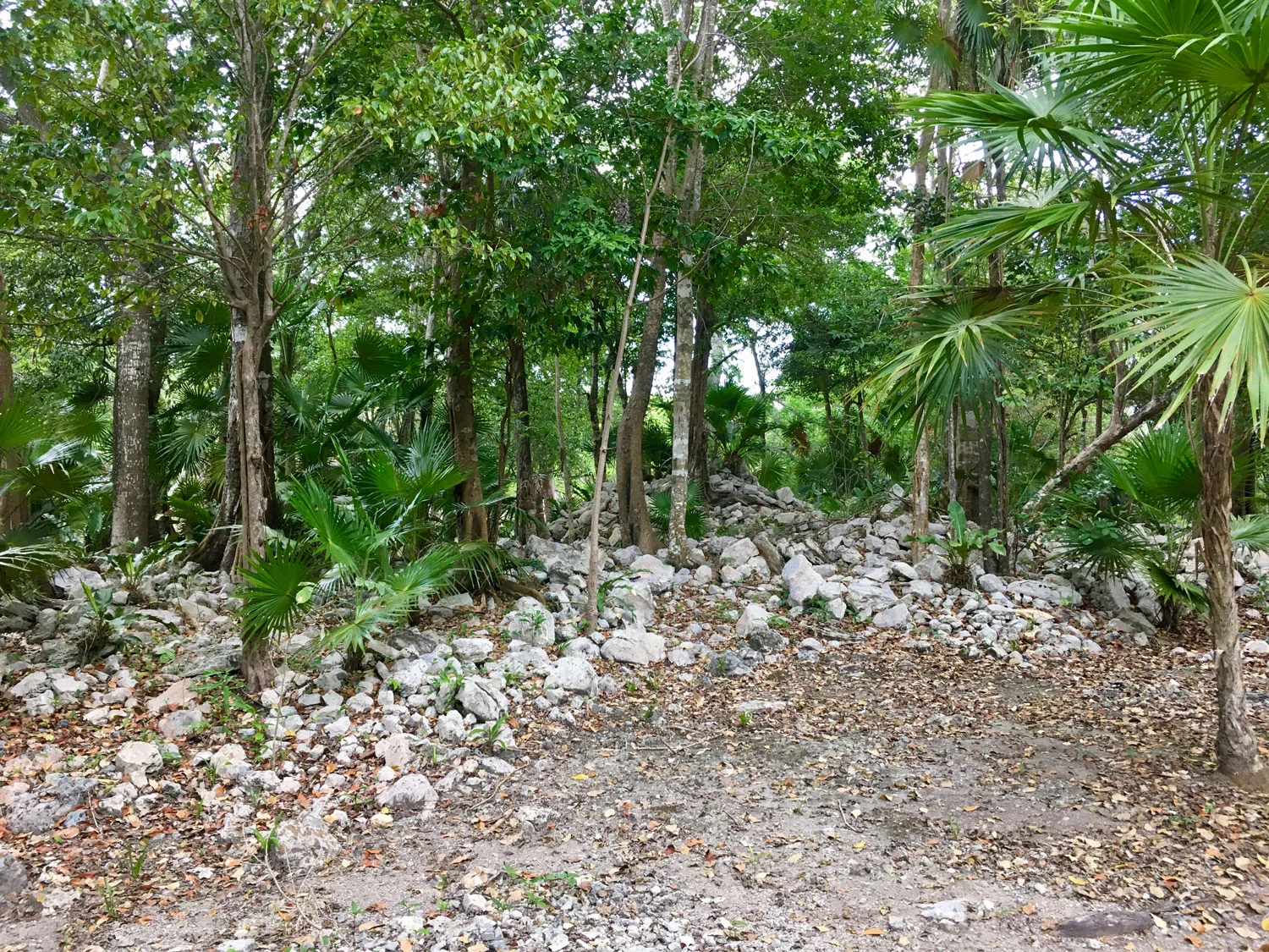 Hammocks_and_Ruins_Riviera_Maya_What_to_Do_Tulum_Ruins_Xcel_Ha_14.jpg