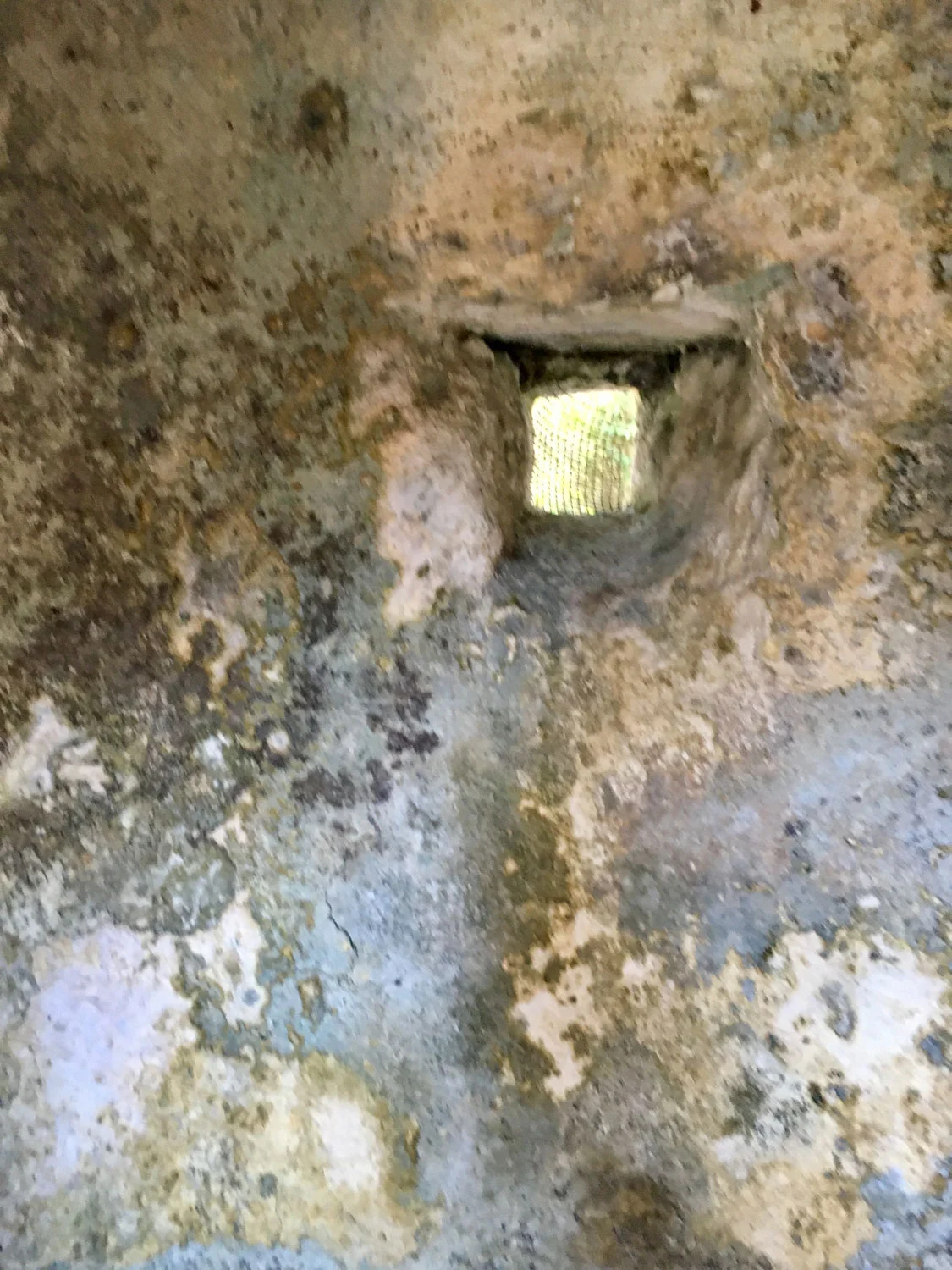 Hammocks_and_Ruins_Riviera_Maya_What_to_Do_Tulum_Ruins_Xcel_Ha_52.jpg