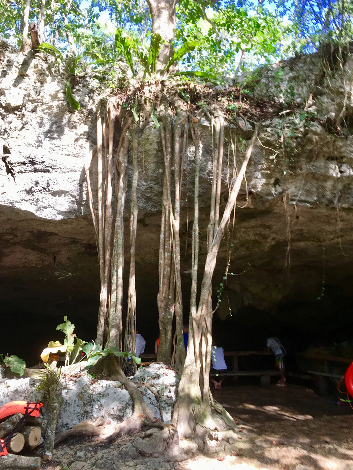Hammocks_and_Ruins_Riviera_Maya_What_to_Do_Tulum_Best_Cenotes_Mexico_Cenote_Dos_Ojos_33.jpg