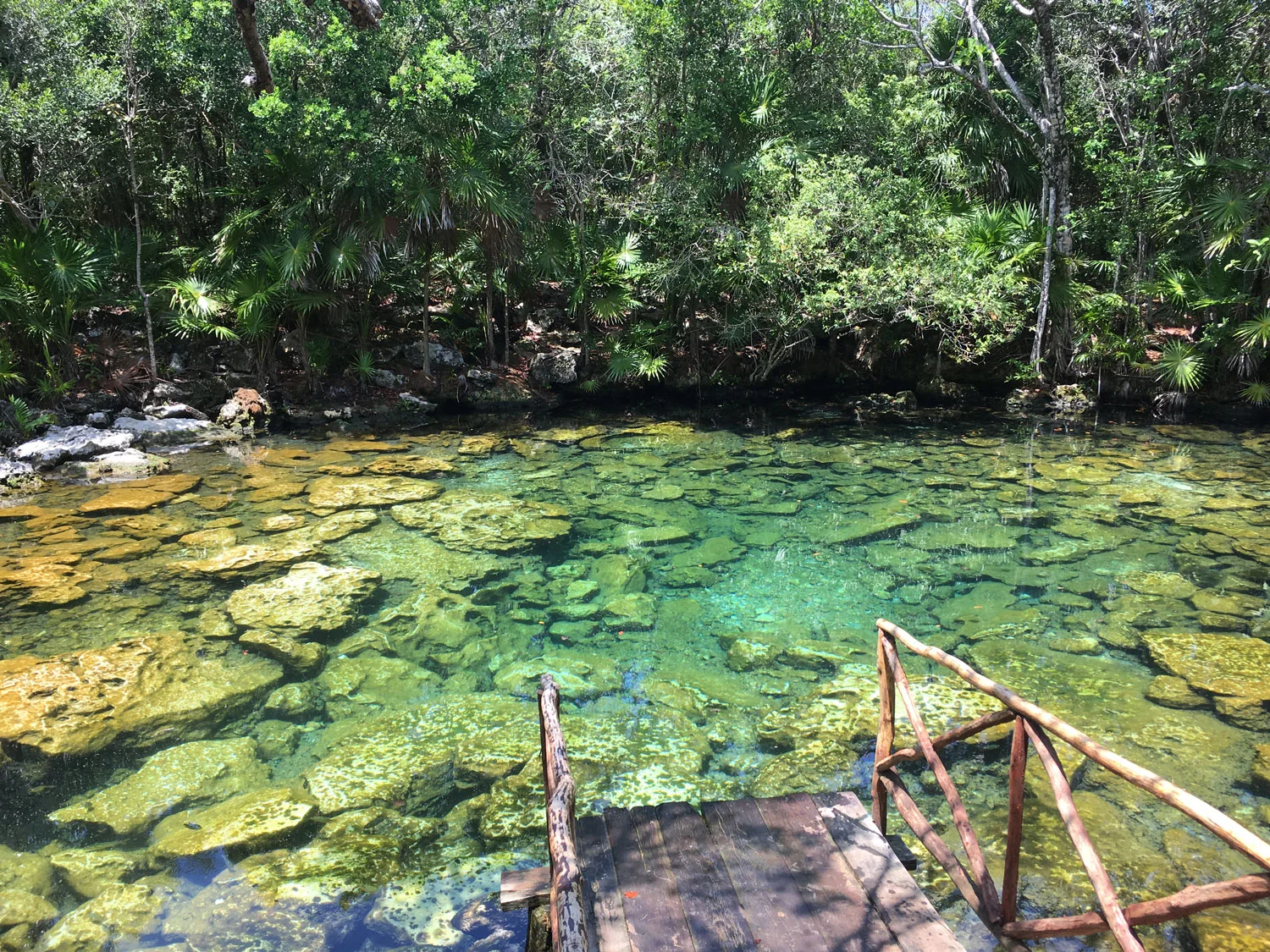 Hammocks_and_Ruins_Riviera_Maya_What_to_Do_Tulum_Best_Cenotes_Mexico_Cenote_Caleta_Tankah_15.jpg