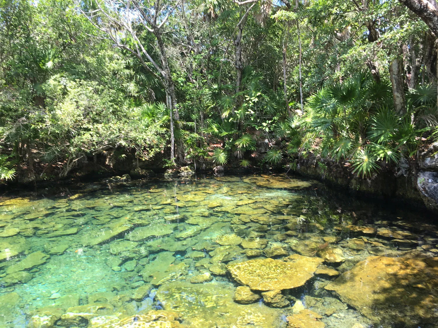Hammocks_and_Ruins_Riviera_Maya_What_to_Do_Tulum_Best_Cenotes_Mexico_Cenote_Caleta_Tankah_14.jpg