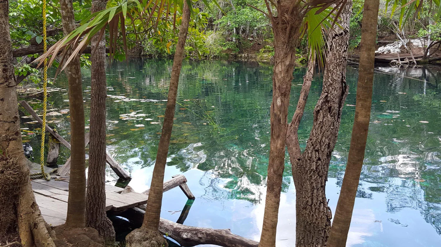 Hammocks_and_Ruins_Blog_Riviera_Maya_Mexico_Travel_Discover_Cenotes_Car_Wash_2.jpg