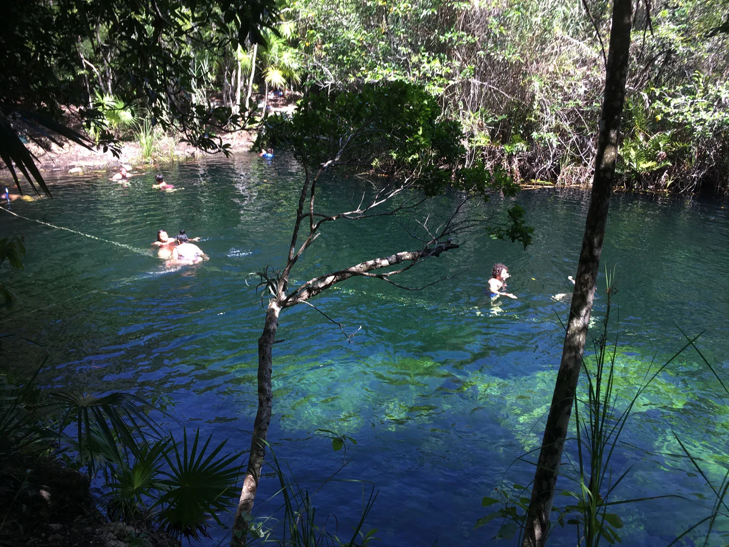 Hammocks_and_Ruins_Riviera_Maya_What_to_Do_Playa_Del_Carmen_Tulum_Cenotes_Cenote_Escondido_12.jpg