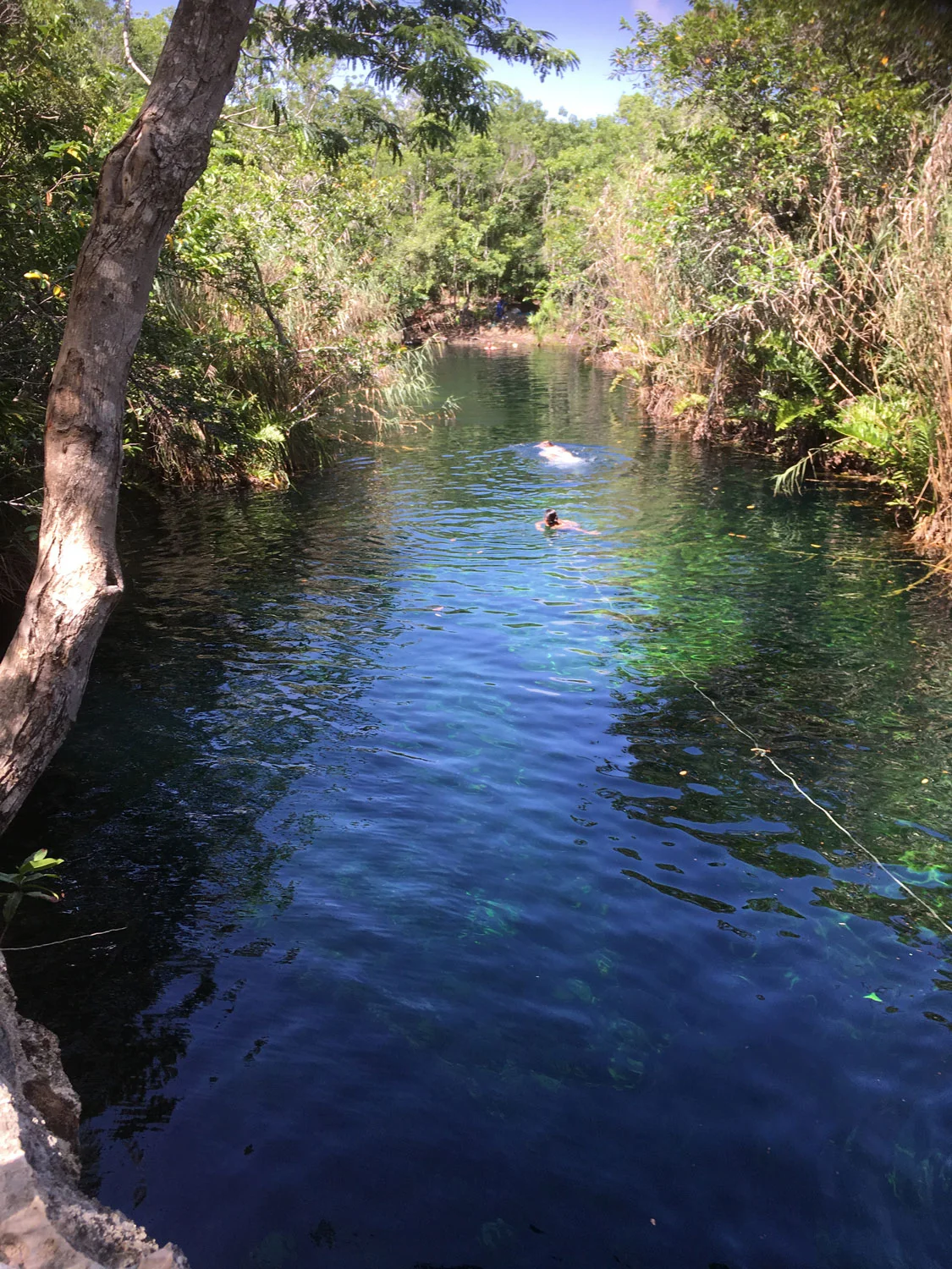 Hammocks_and_Ruins_Riviera_Maya_What_to_Do_Playa_Del_Carmen_Tulum_Cenotes_Cenote_Escondido_8.jpg
