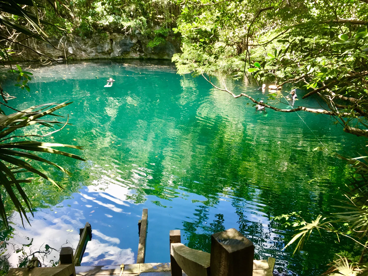 Hammocks_and_Ruins_Blog_Riviera_Maya_Mexico_Travel_Discover_Cenotes_Scuba_Dive_Cenote_Angelita_1.jpg