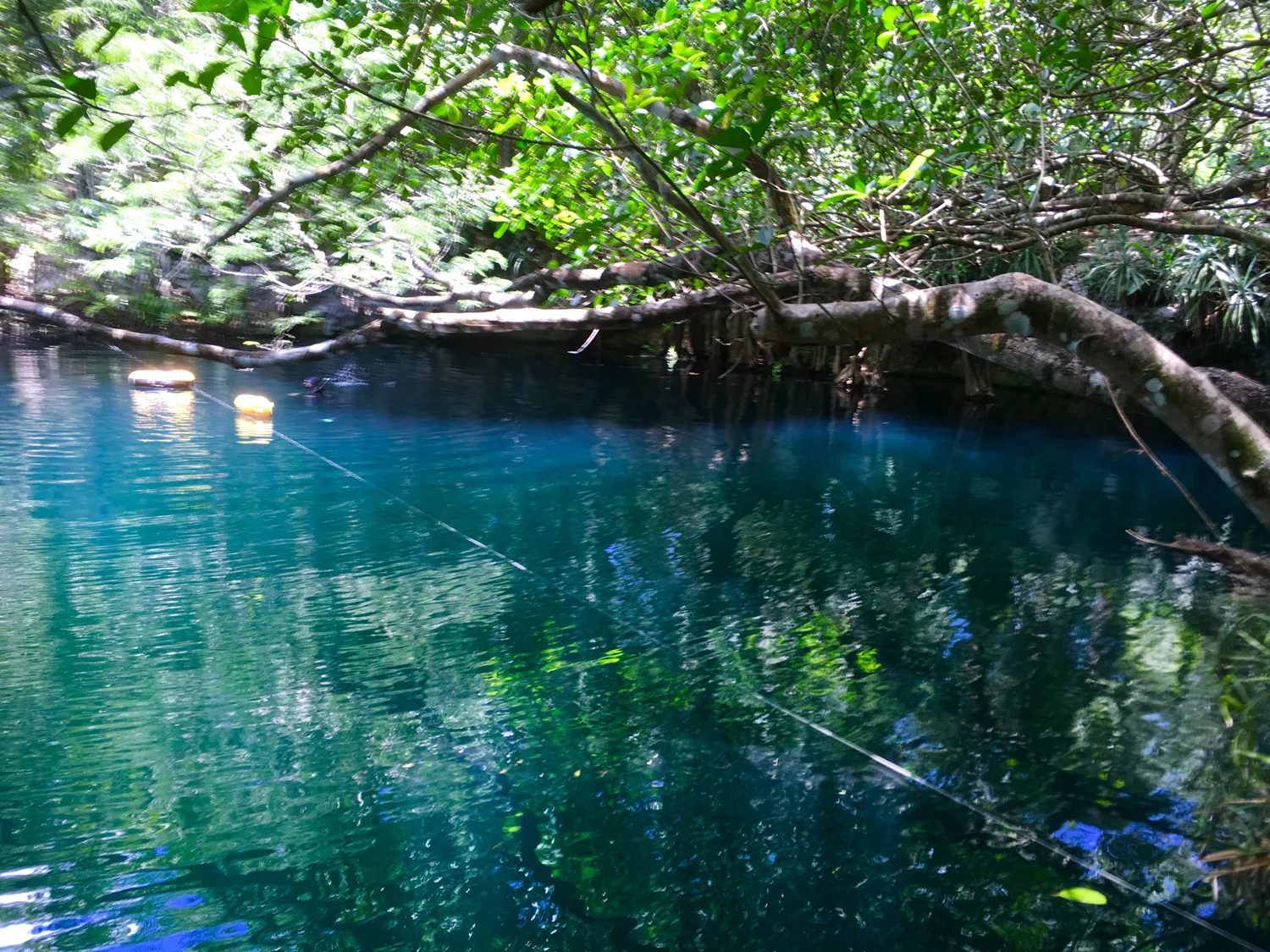 Hammocks_and_Ruins_Blog_Riviera_Maya_Mexico_Travel_Discover_Cenotes_Scuba_Dive_Cenote_Angelita_6.jpg