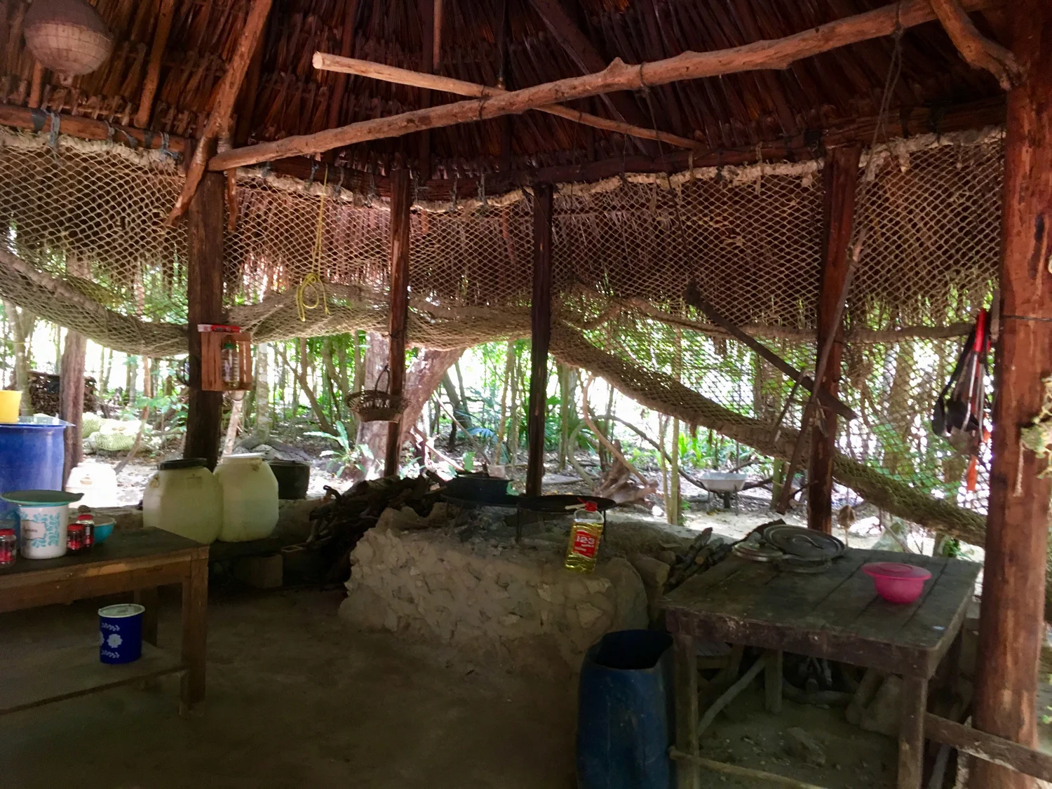 Hammocks_and_Ruins_Blog_Riviera_Maya_Mexico_Travel_Discover_Cenotes_Scuba_Dive_Cenote_Angelita_22.jpg