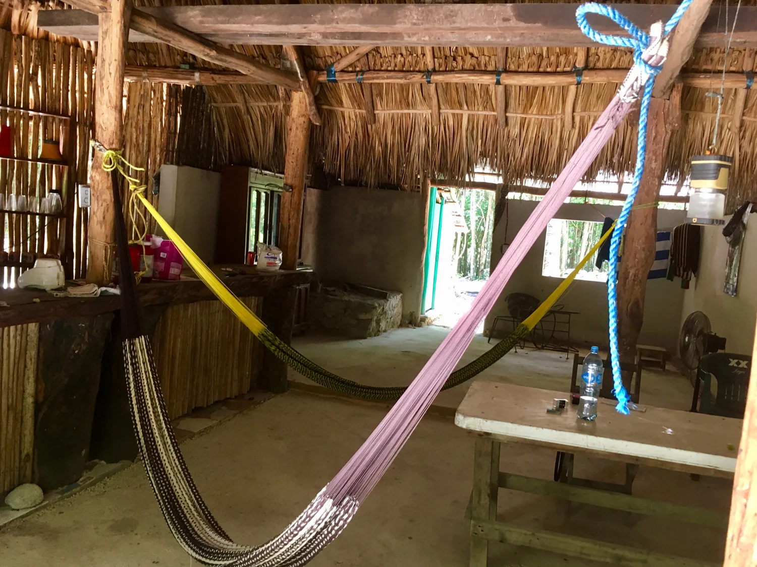 Hammocks_and_Ruins_Blog_Riviera_Maya_Mexico_Travel_Discover_Cenotes_Scuba_Dive_Cenote_Angelita_23.jpg