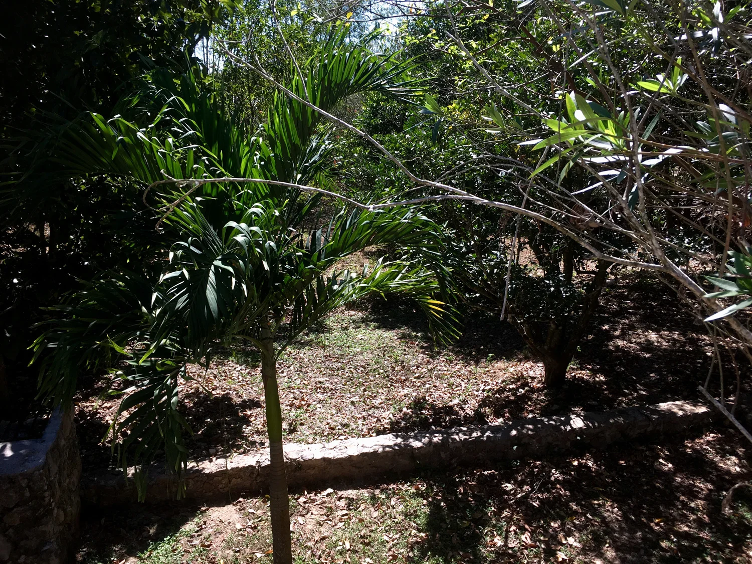 Hammocks_and_Ruins_Blog_Riviera_Maya_Mexico_Travel_Discover_Yucatan_What_to_do_Merida_Haciendas_Santo_Domingo_Hacienda_23.jpg