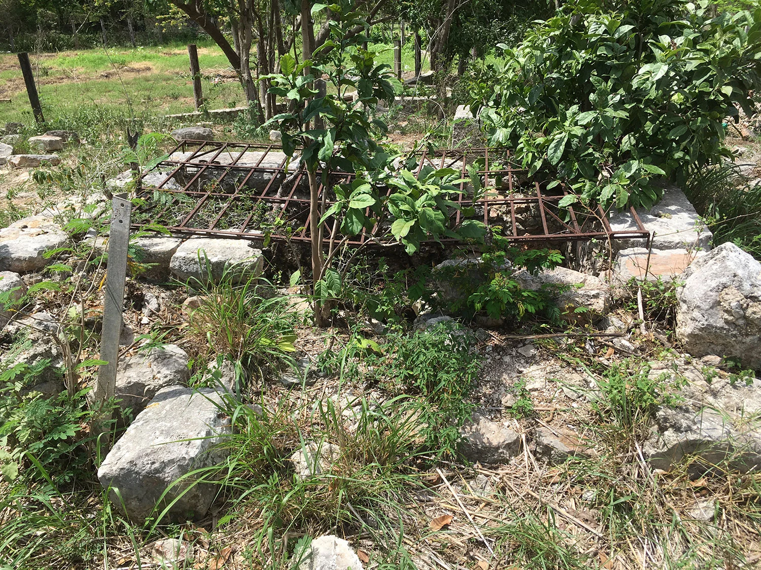 Hammocks_and_Ruins_Blog_Riviera_Maya_Mexico_Travel_Discover_Yucatan_What_to_do_Merida_Haciendas_Tepich_30.jpg