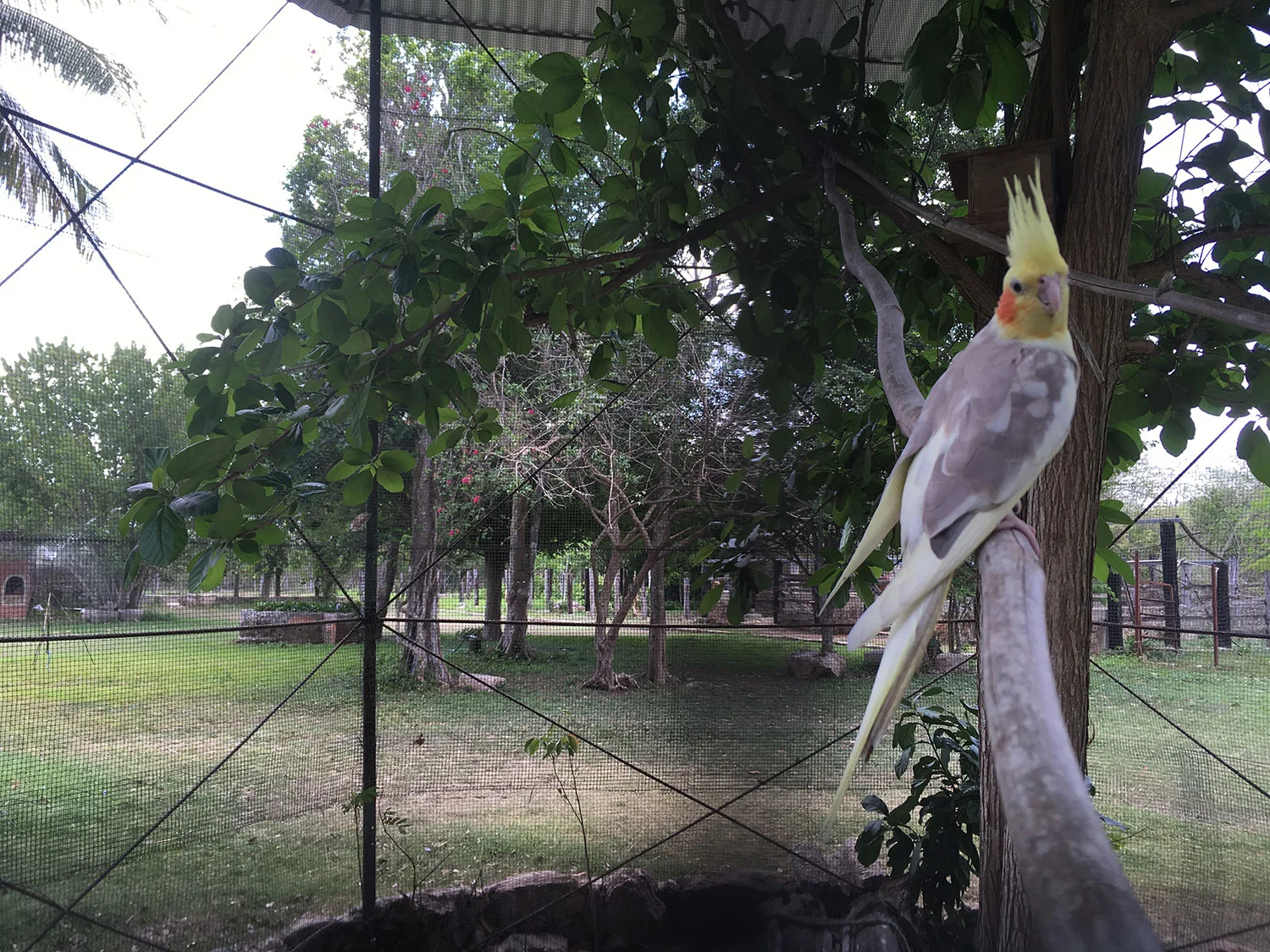 Hammocks_and_Ruins_Blog_Riviera_Maya_Mexico_Travel_Discover_Yucatan_What_to_do_Merida_Haciendas_Tepich_26.jpg