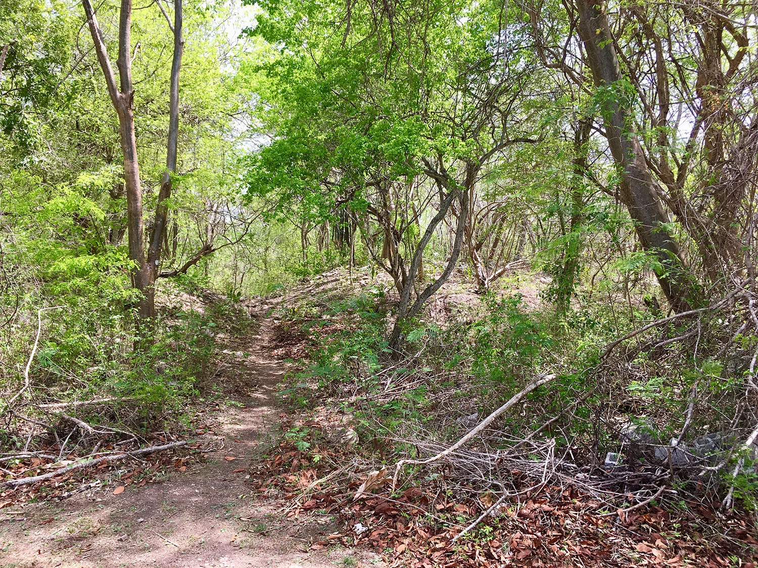 Heaps of unrestored ruins are everywhere. What secrets do they hold?