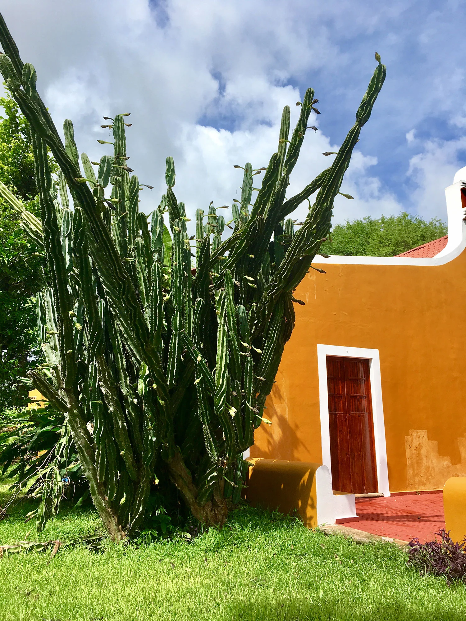 The hacienda gate with the volcano Popocatépetl behind.