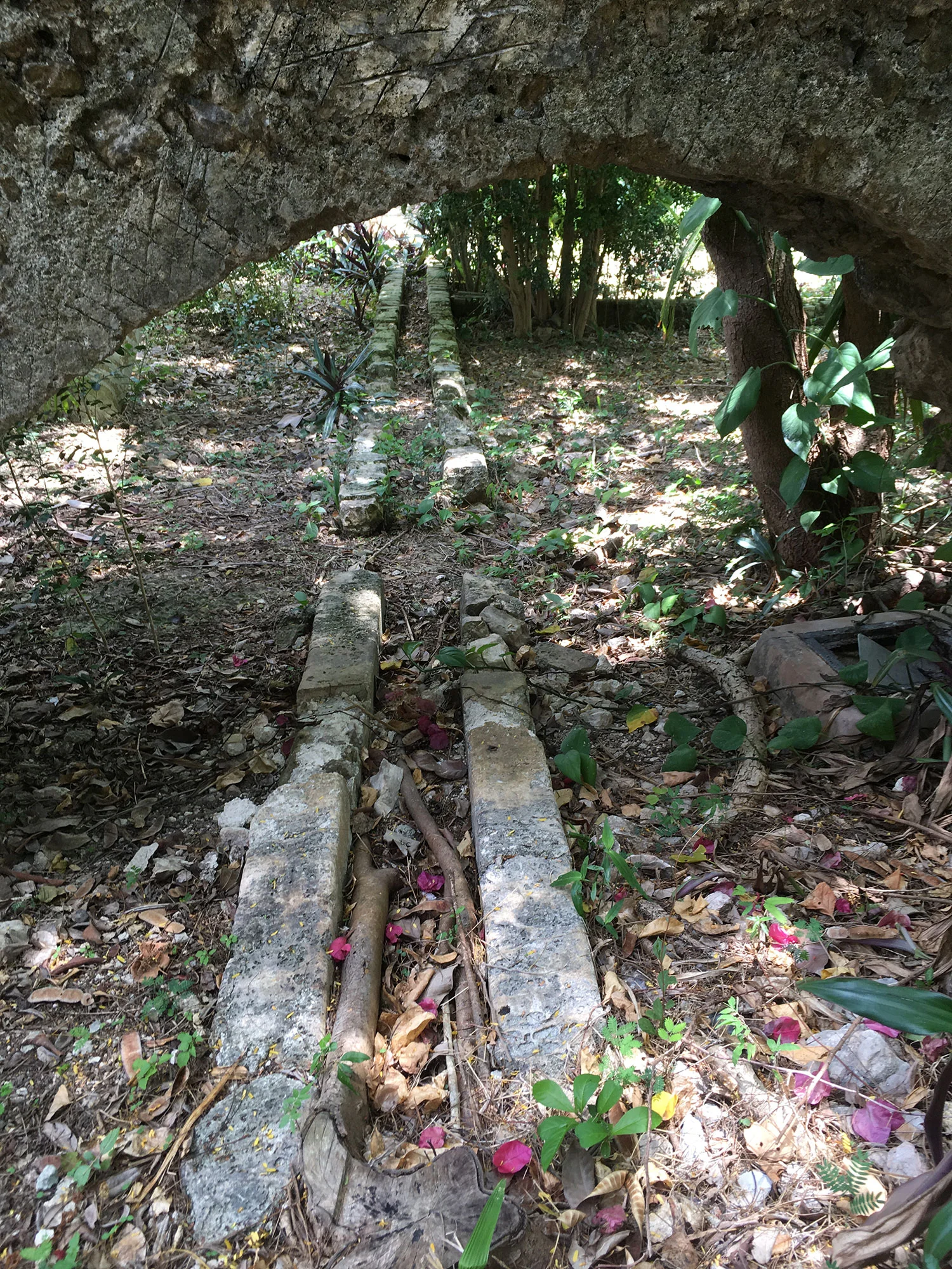 Hammocks_and_Ruins_Mayan_Mythology_What_to_Do_Mexico_Maya_hacienda_san_jose_cholul_33.jpg