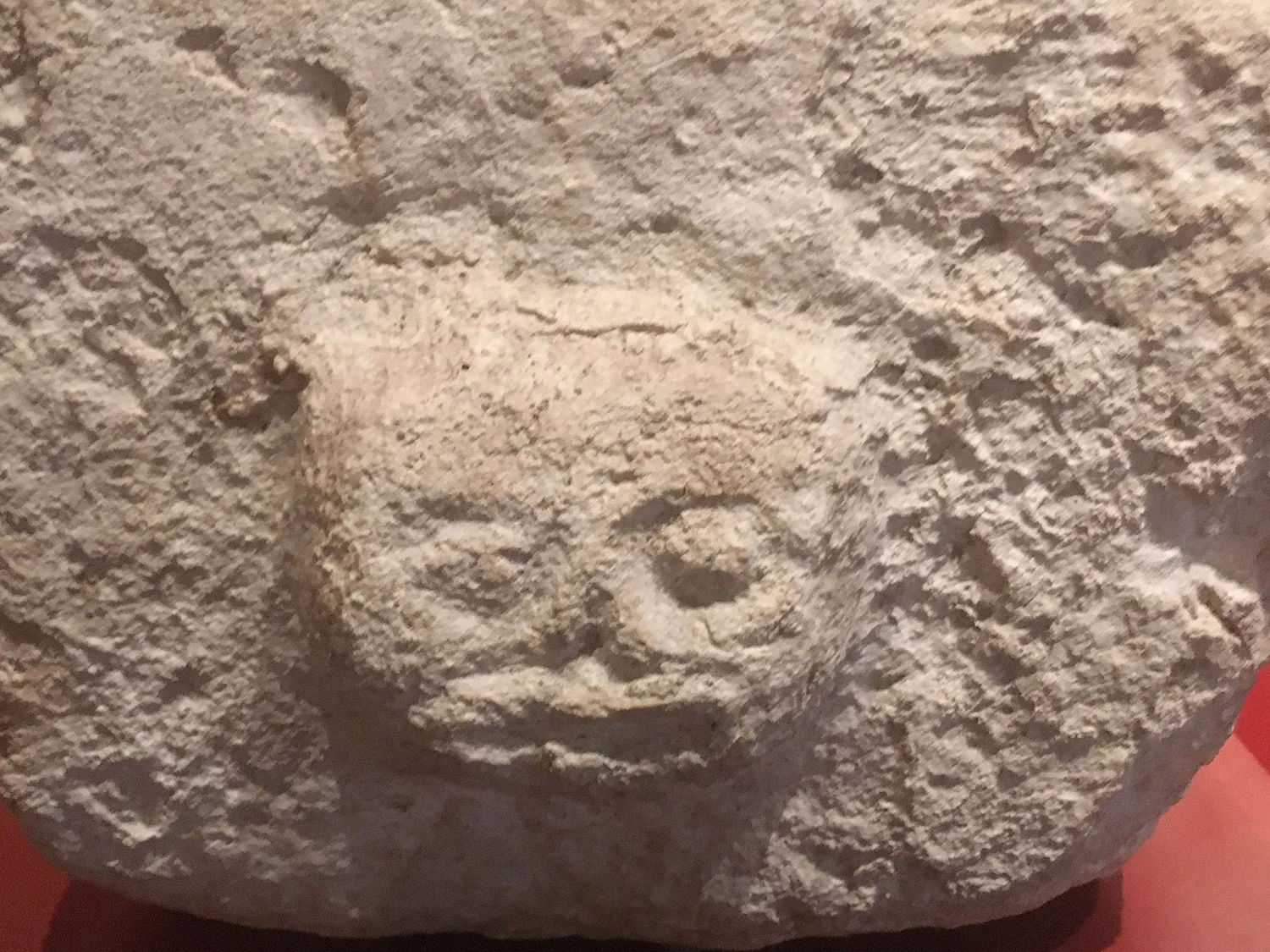 Head sculptures at Cozumel Museum. Island rulers or priests?