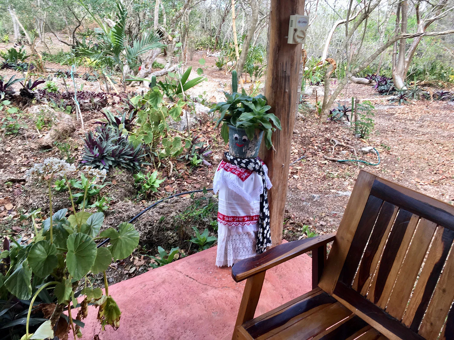 Hammocks_and_Ruins_What_to_Do_Mexico_Mayan_pyramids_cenote_Kikil_29.jpg