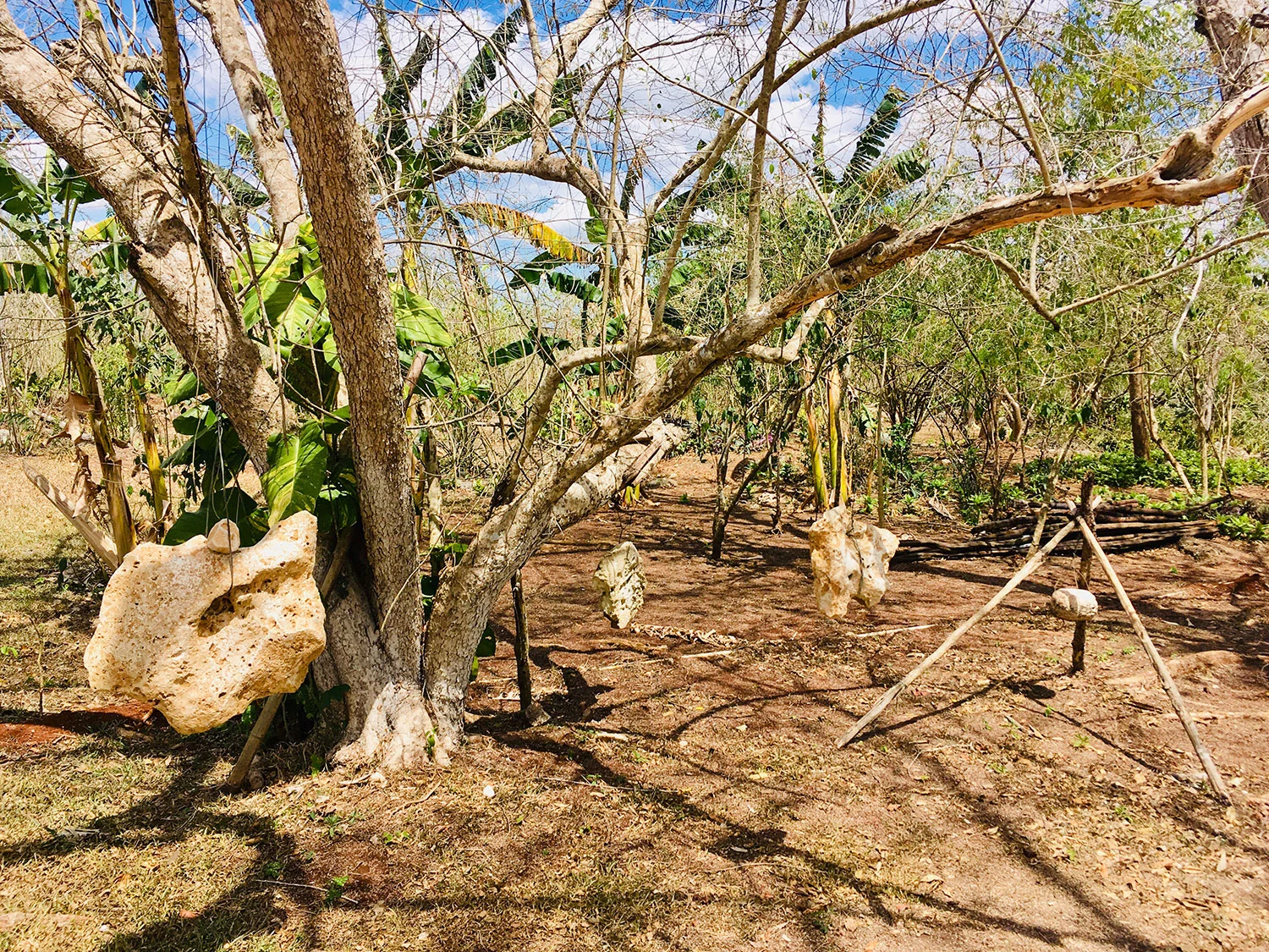 Hammocks_and_Ruins_What_to_Do_Mexico_Mayan_pyramids_cenote_Kikil_9.jpg