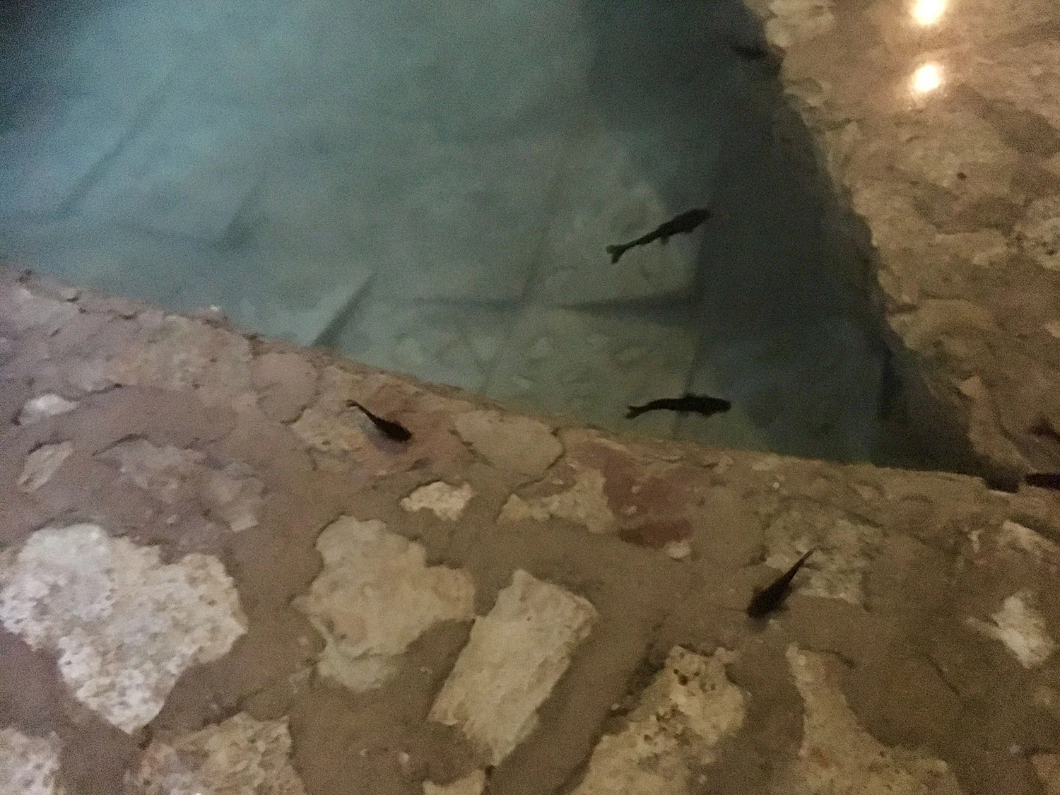 Hammocks_and_Ruins_What_to_Do_Mexico_Mayan_pyramid_cenote_Suytun_22.jpg