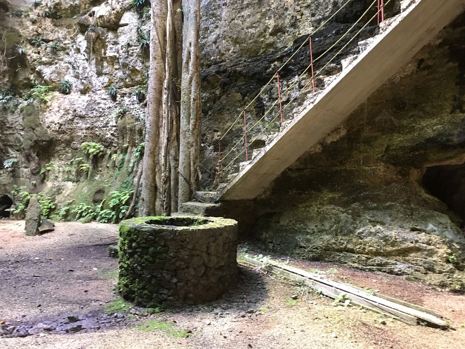 Hammocks_and_Ruins_What_to_Do_Mexico_Mayan_pyramid_cenote_Suytun_53.jpg