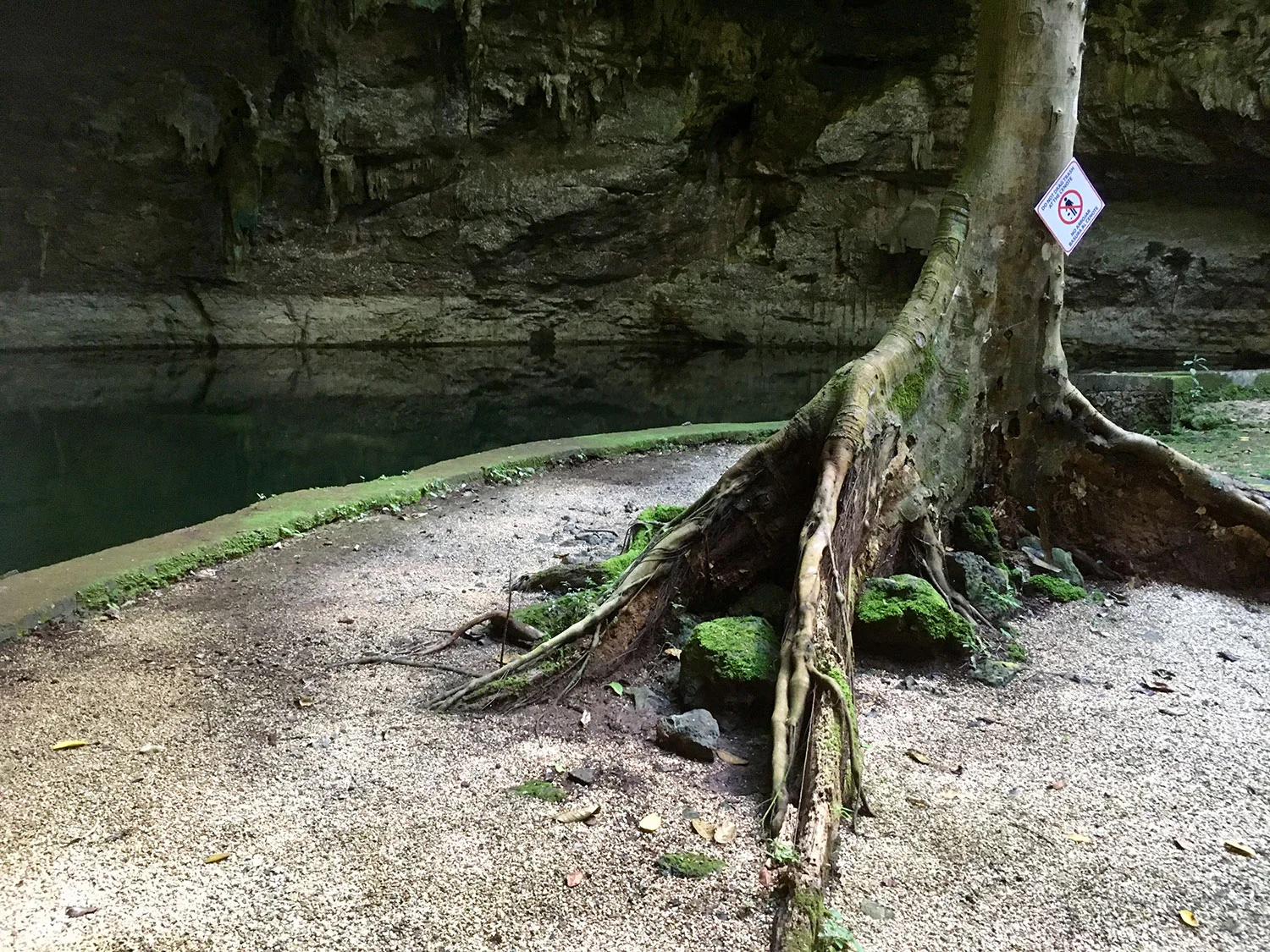 Hammocks_and_Ruins_What_to_Do_Mexico_Mayan_pyramid_cenote_Suytun_52.jpg