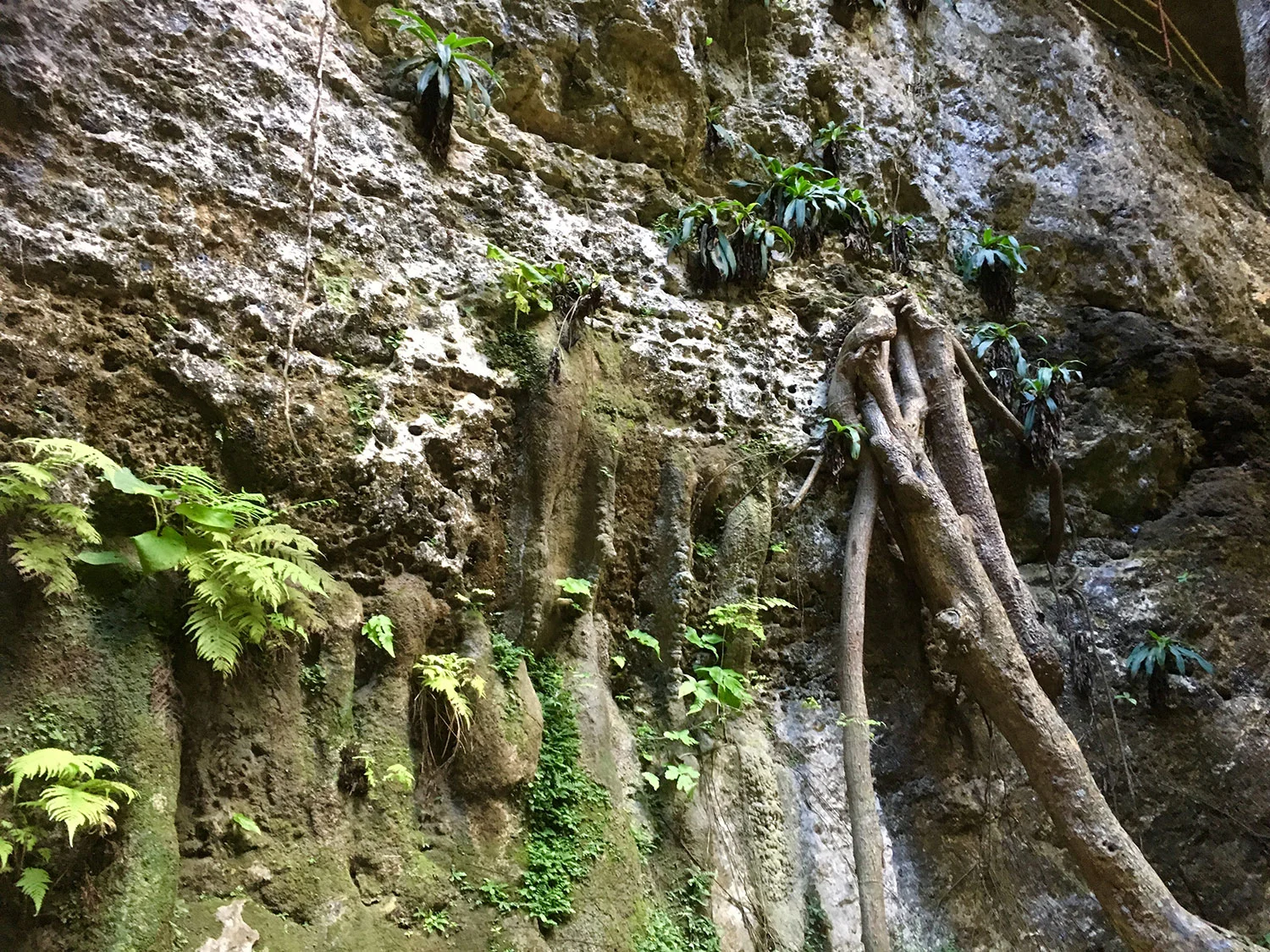 Hammocks_and_Ruins_What_to_Do_Mexico_Mayan_pyramid_cenote_Suytun_56.jpg