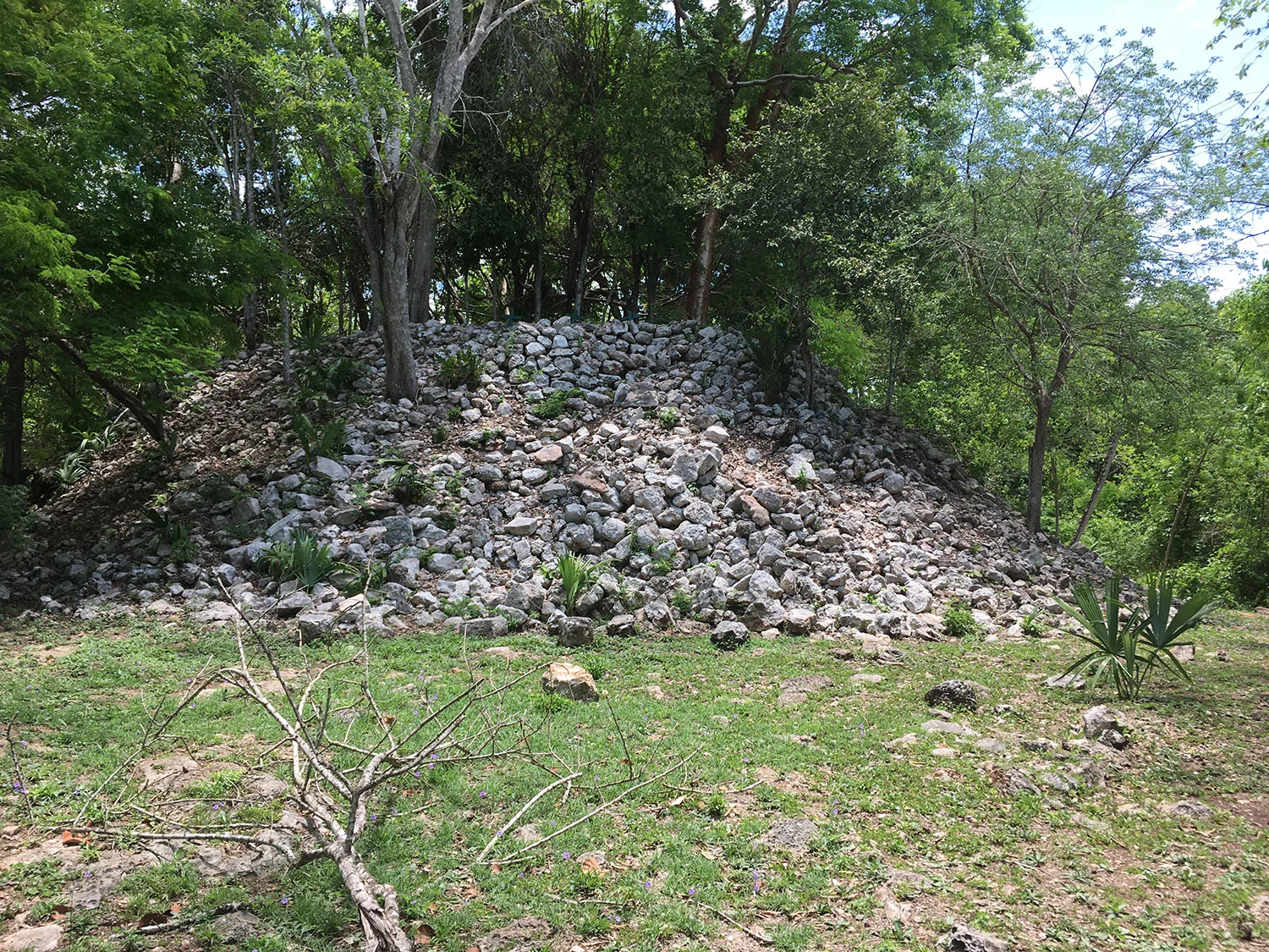 Picnic area.