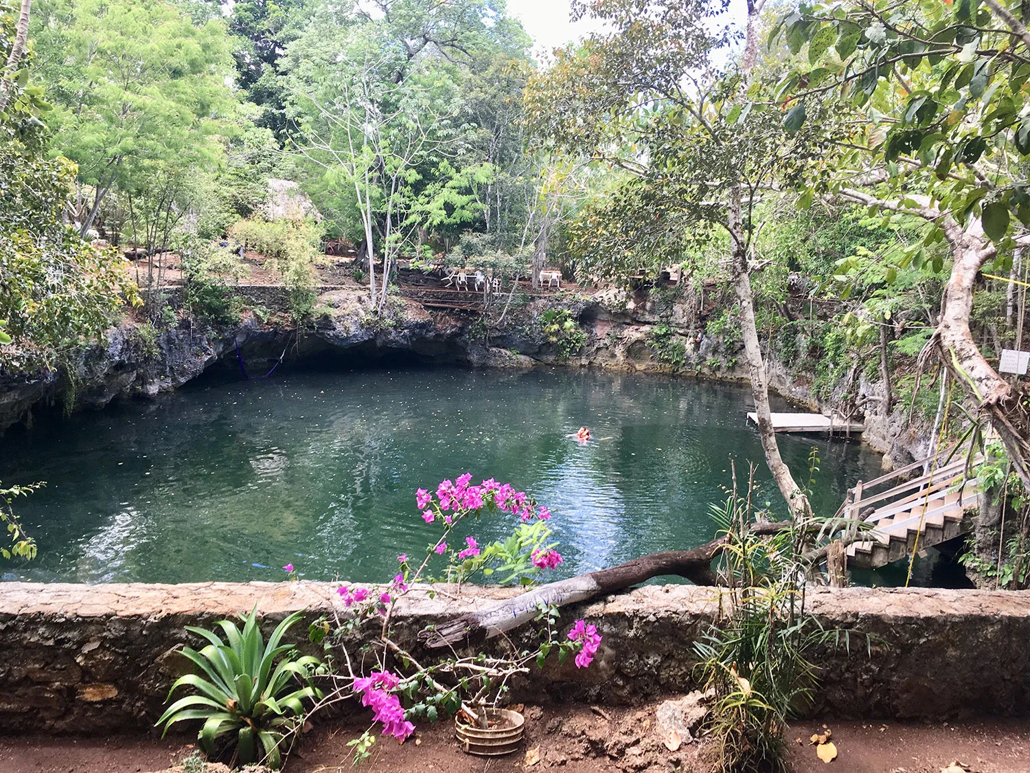 Hammocks_and_Ruins_What_to_Do_Yucatan_cenote_3.jpg