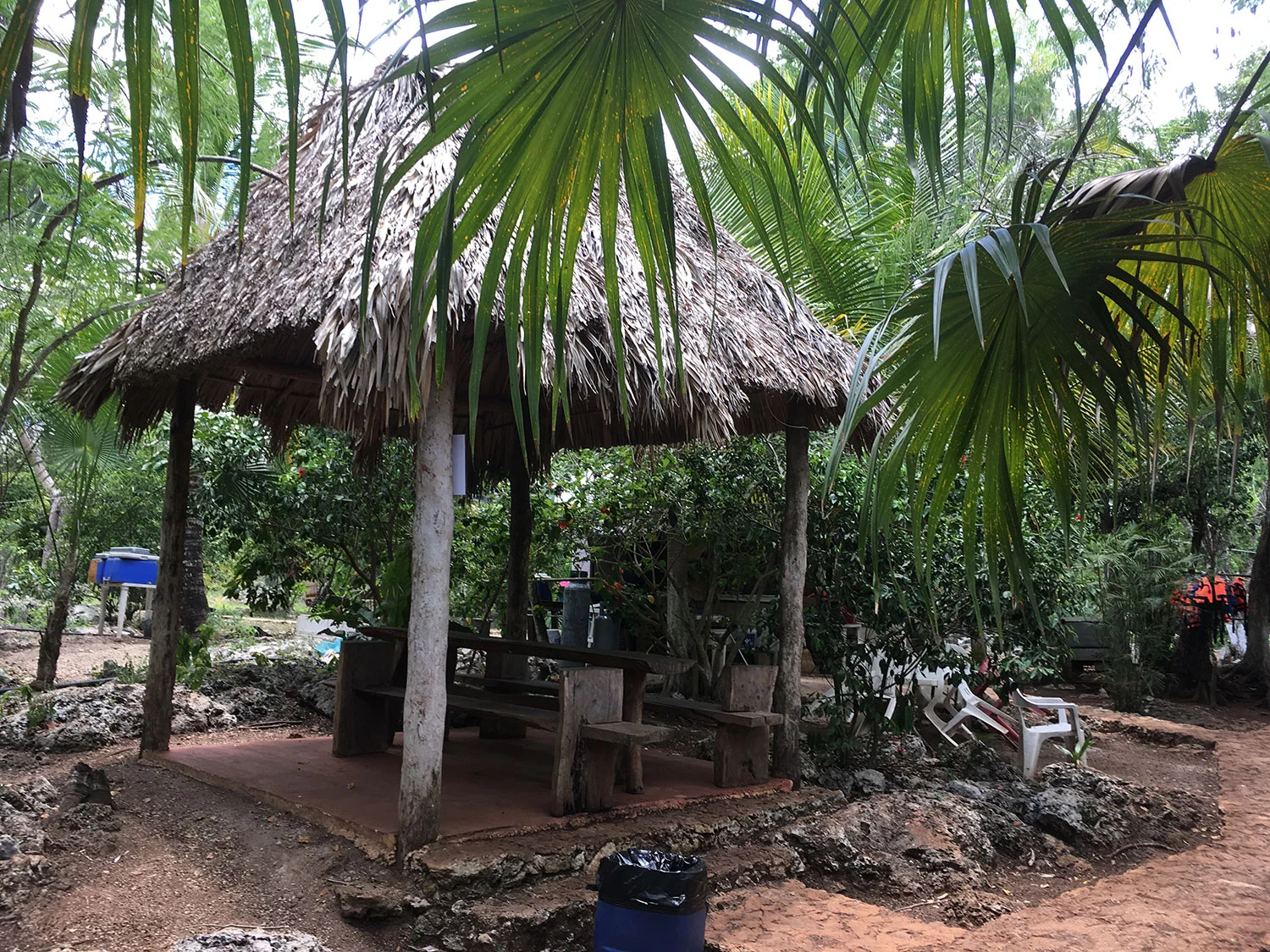 Hammocks_and_Ruins_What_to_Do_Yucatan_cenote_23.jpg
