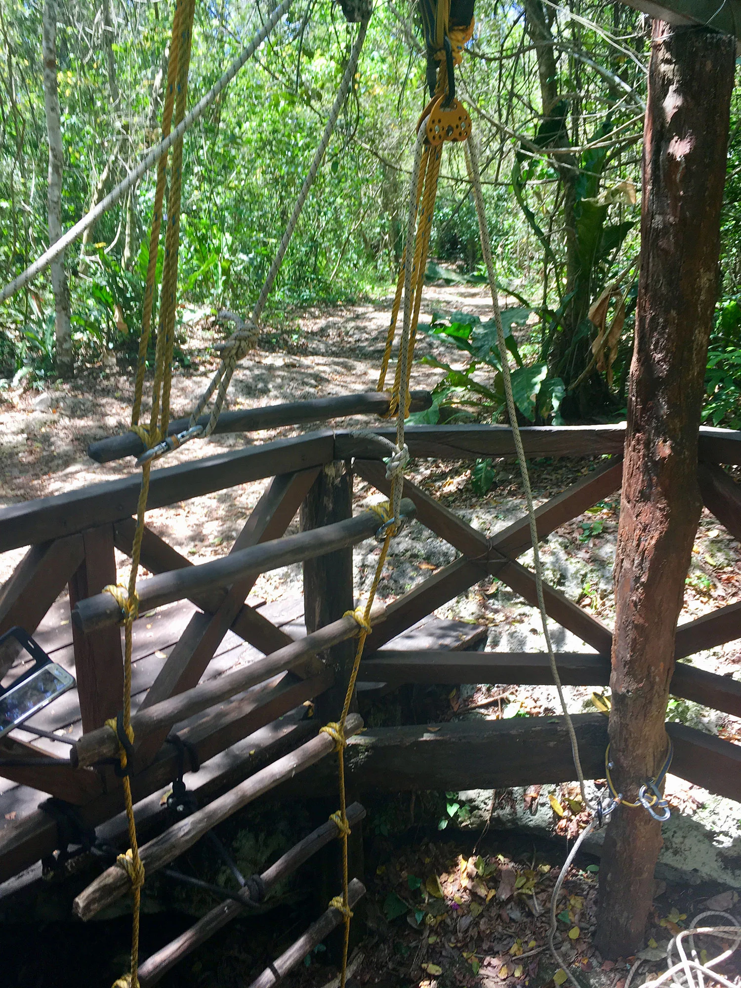 Hammocks_and_Ruins_What_to_Do_Yucatan_jungle_lake_Punta_Laguna_monkey_spider_howler_in_the_wild_12.jpg