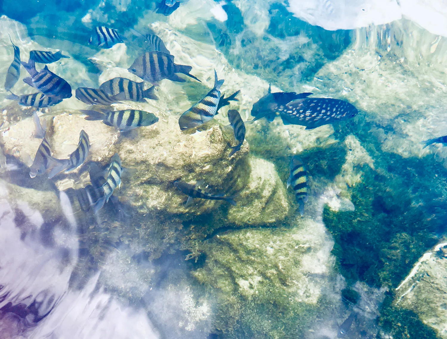 Hammocks_and_Ruins_What_to_Do_Yucatan_jungle_lake_cenote_Yal_Ku_24.jpg