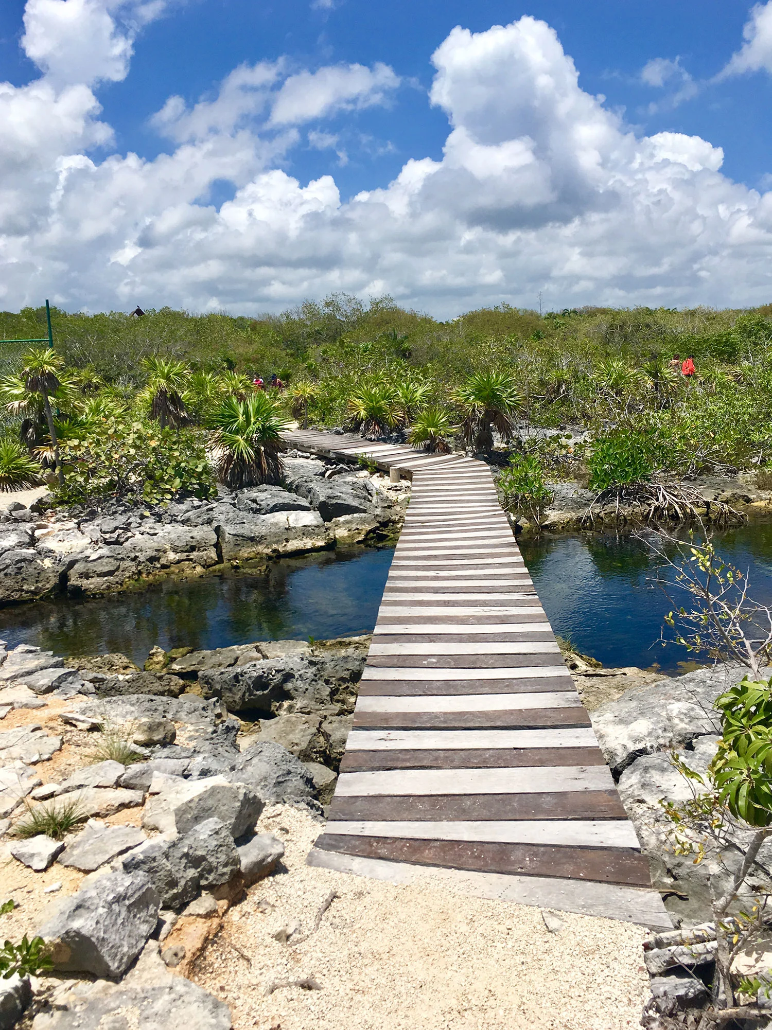 Hammocks_and_Ruins_What_to_Do_Yucatan_jungle_lake_cenote_Yal_Ku_16.jpg