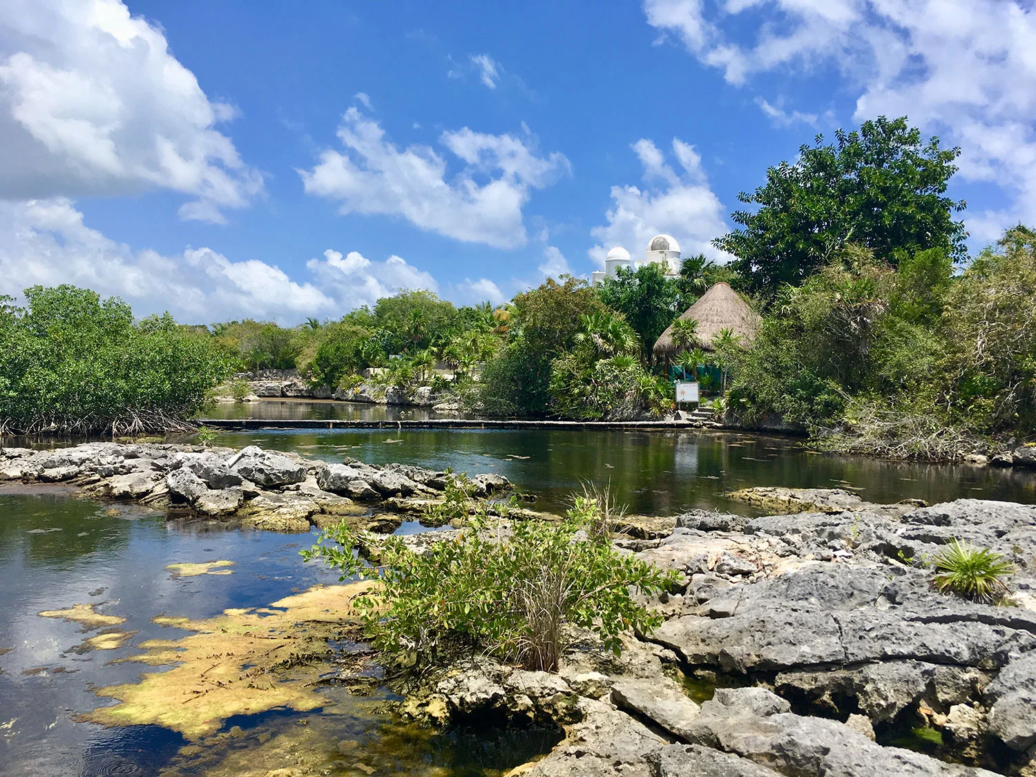 Hammocks_and_Ruins_What_to_Do_Yucatan_jungle_lake_cenote_Yal_Ku_17.jpg