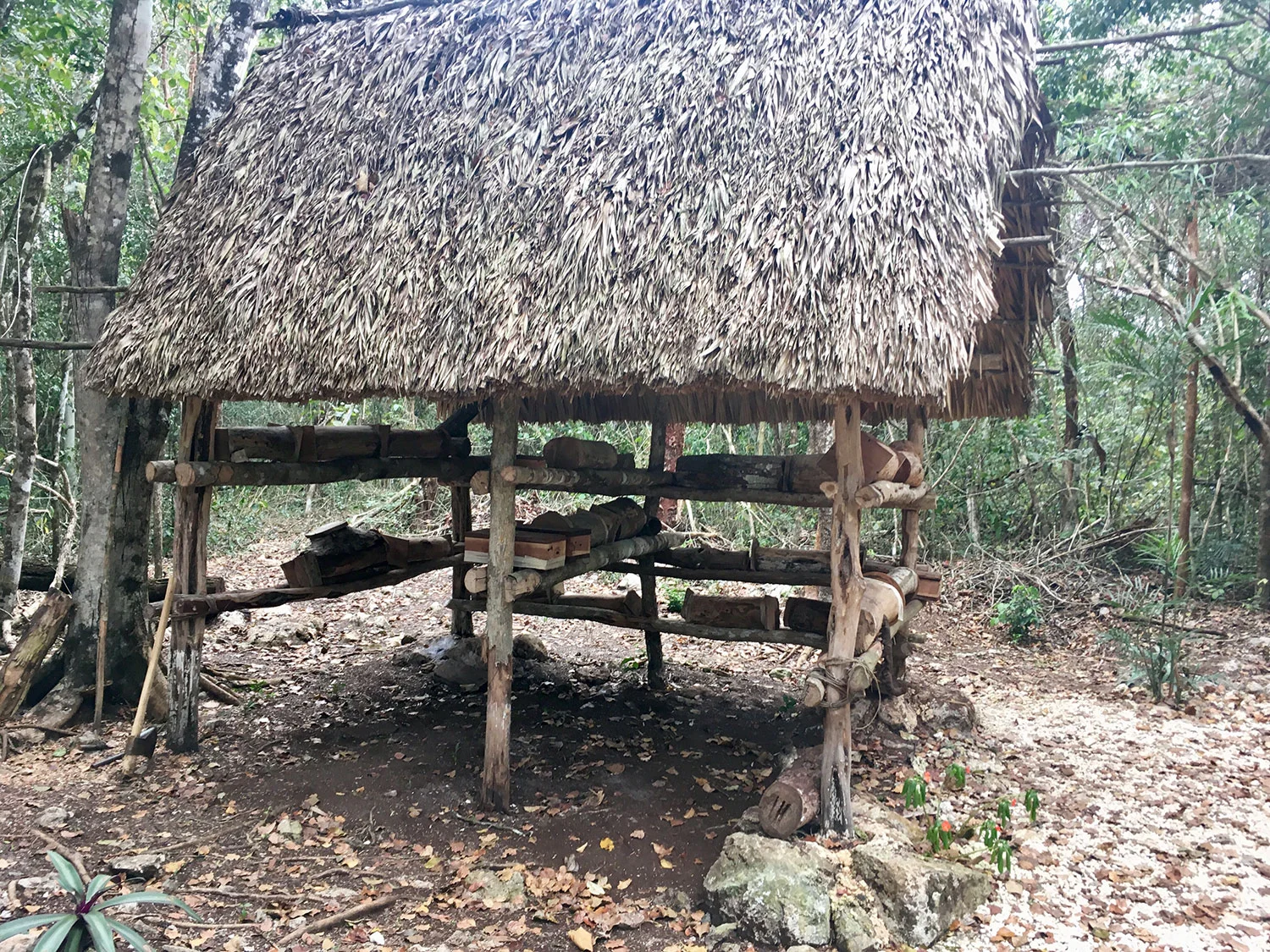 Hammocks_and_Ruins_What_to_Do_Yucatan_jungle_village_indigenous_Alde Maya_Ahau_Chooc_15.jpg