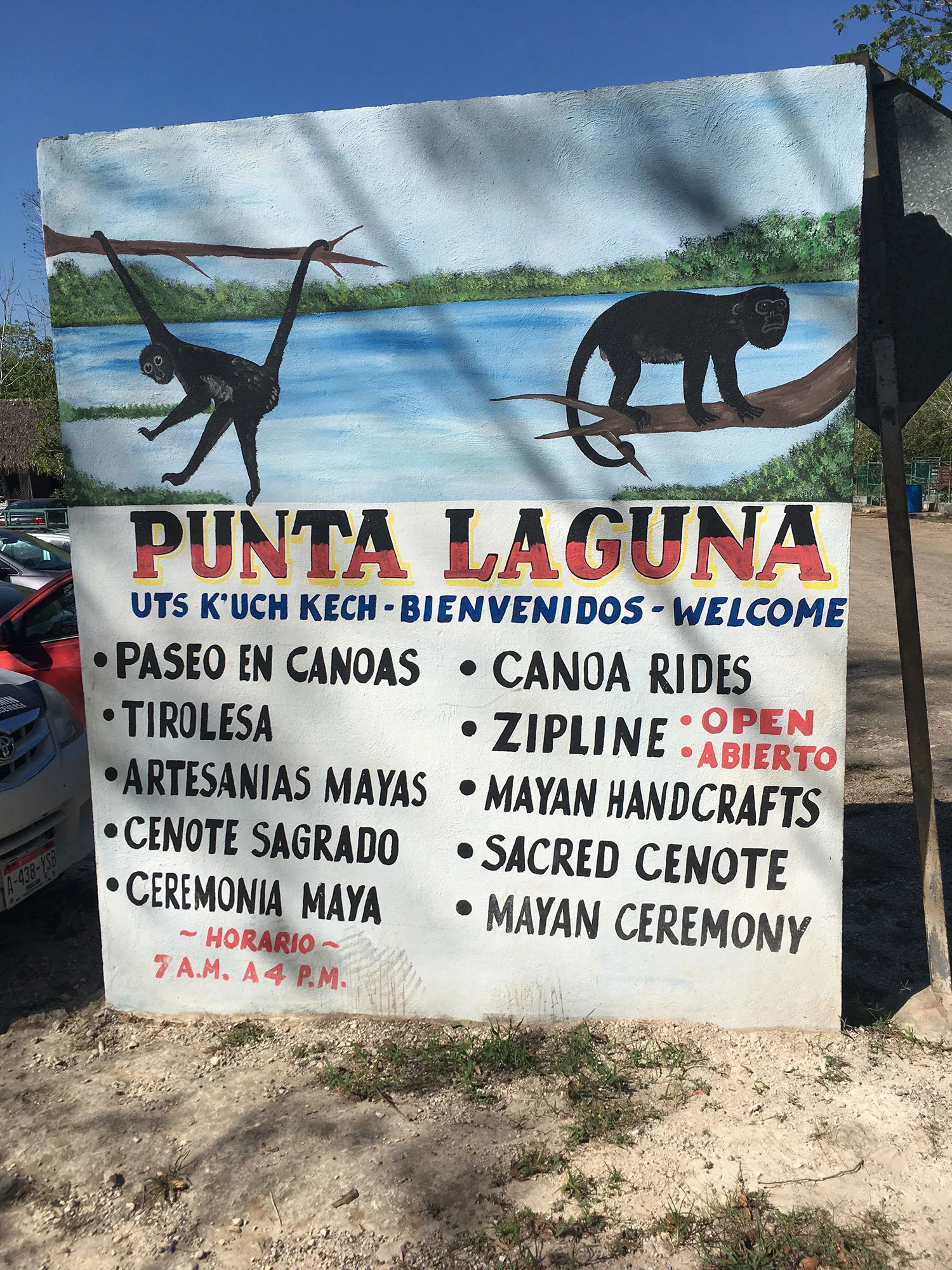 Hammocks_and_Ruins_What_to_Do_Yucatan_jungle_lake_Punta_Laguna_monkey_spider_howler_in_the_wild_34.jpg