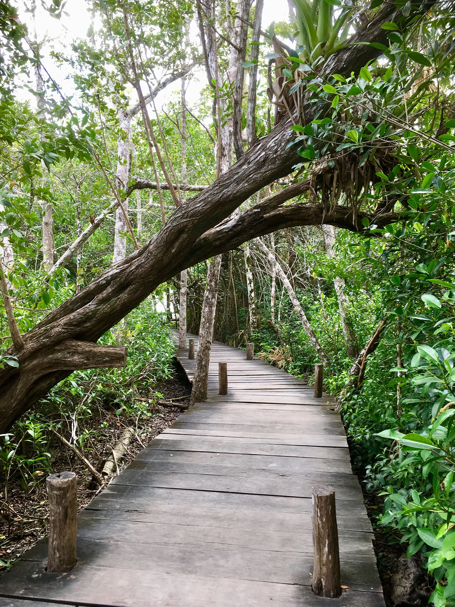 Hammocks_and_Ruins_What_to_Do_Yucatan_lake_Kaan_Luum_6.jpg