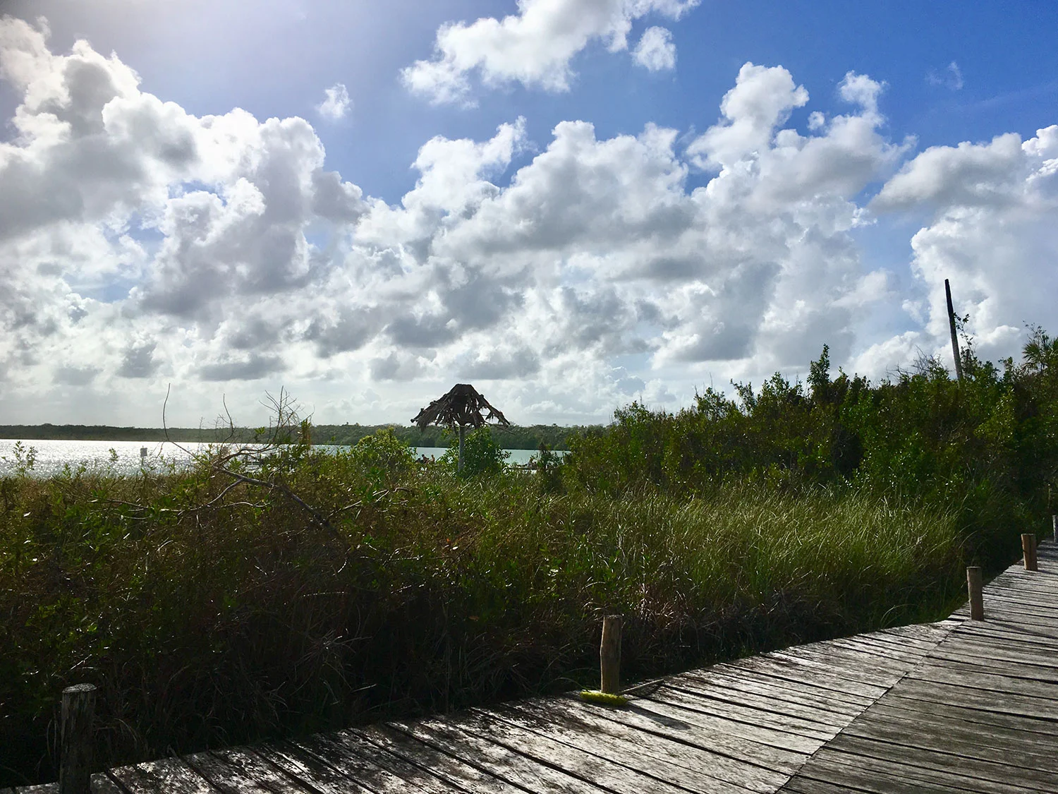 Hammocks_and_Ruins_What_to_Do_Yucatan_lake_Kaan_Luum_24.jpg