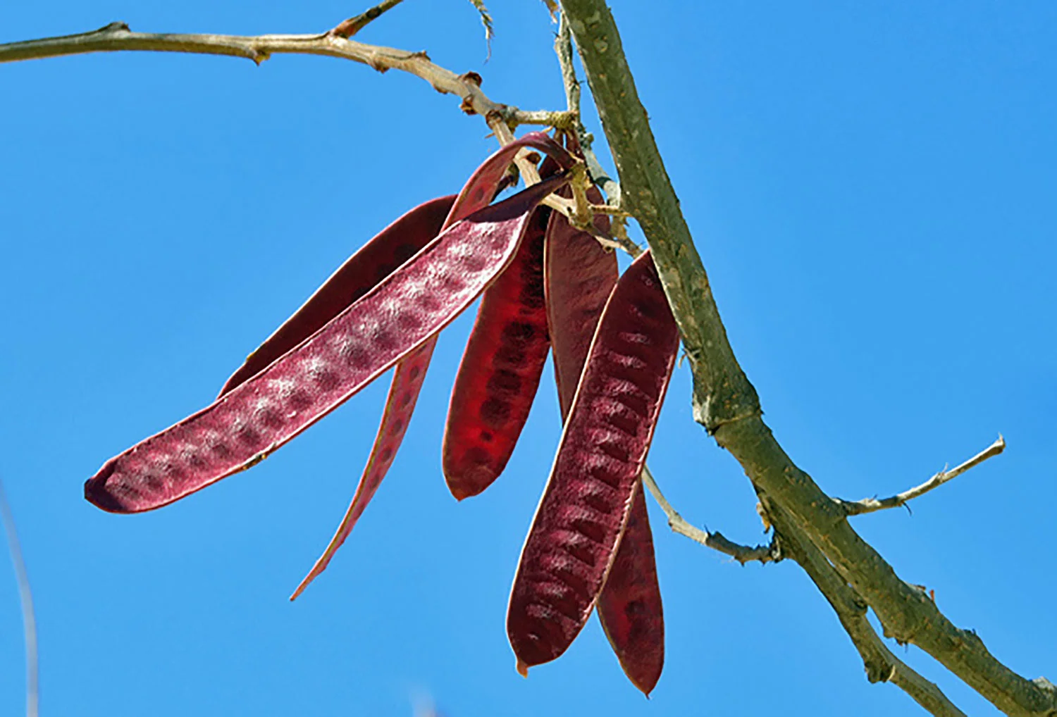 Hammocks_and_Ruins_What_to_Do_Mexico_Oaxaca_pyramids_Zapotecs_Mixtec_Monte_Alban_23.jpg