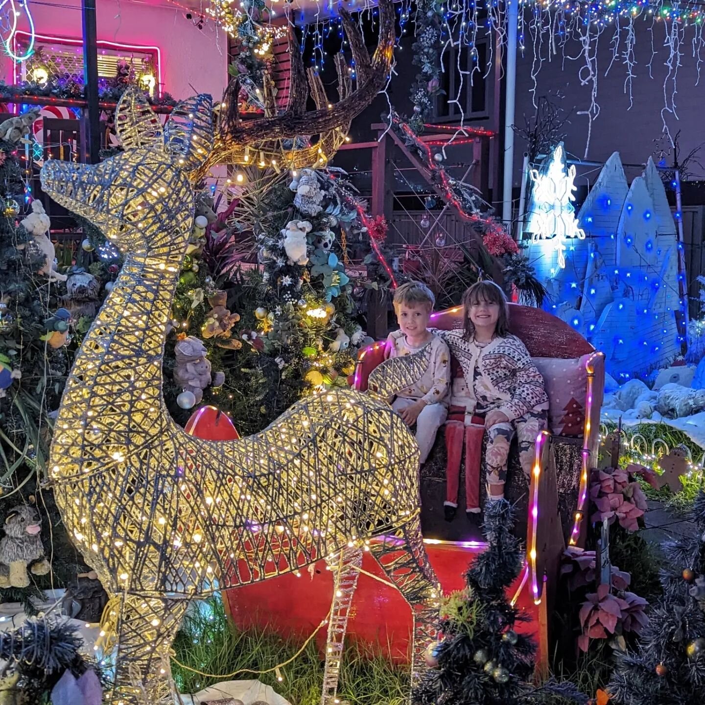 #christmaslights 🎄✨