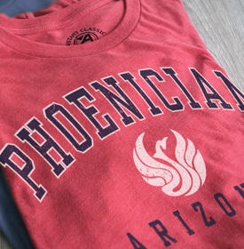 AA_TSHIRTS_8.png