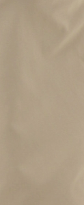 AA_SHORTS_6.png