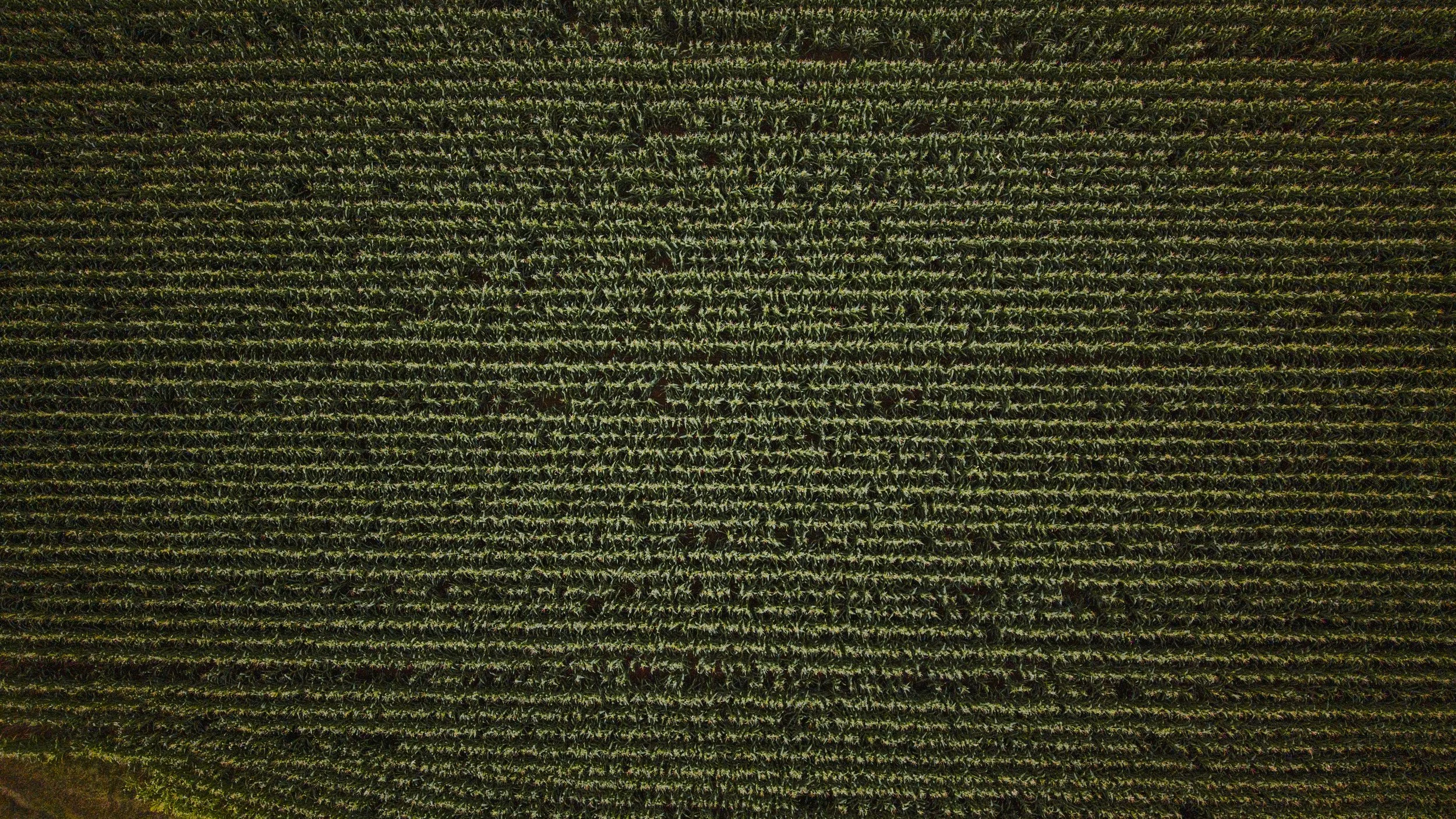 (c)Venue101.JPG