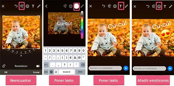 Las cartulinas usadas como soporte de la fotografía, no vienen incluidas