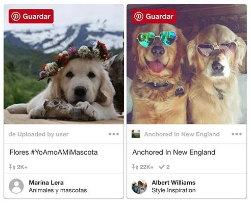7 trucos para hacer fotos a tu mascota con el móvil